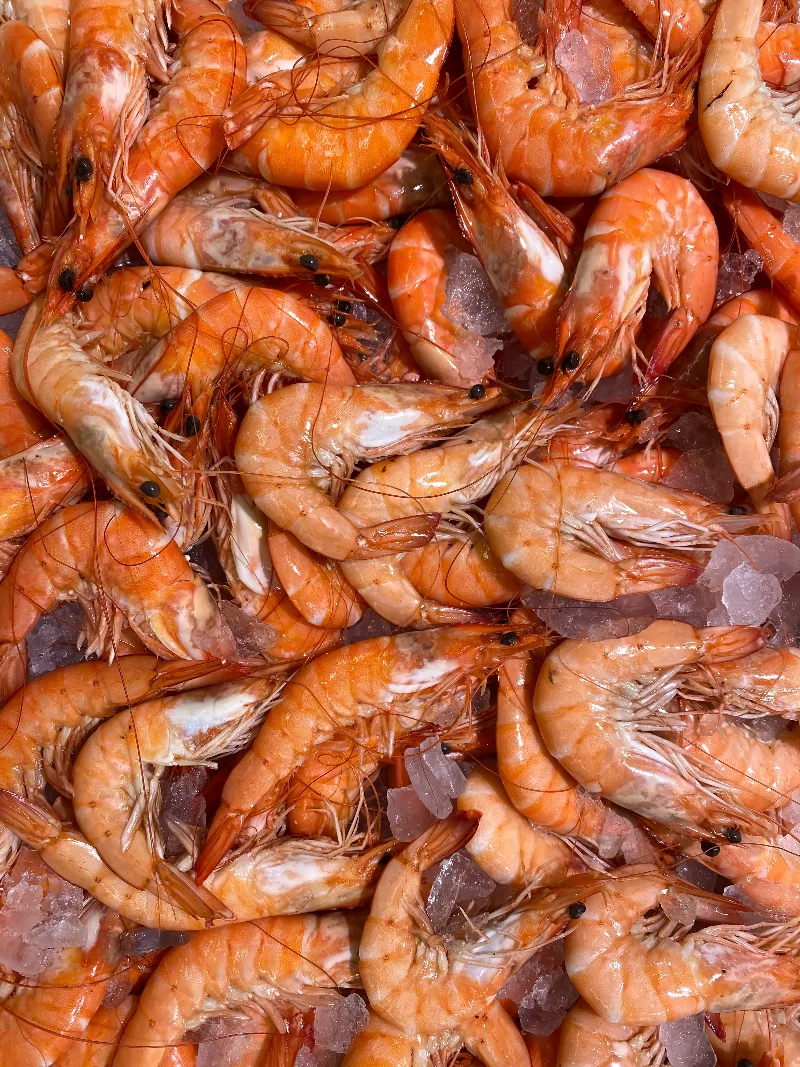 the shrimp market