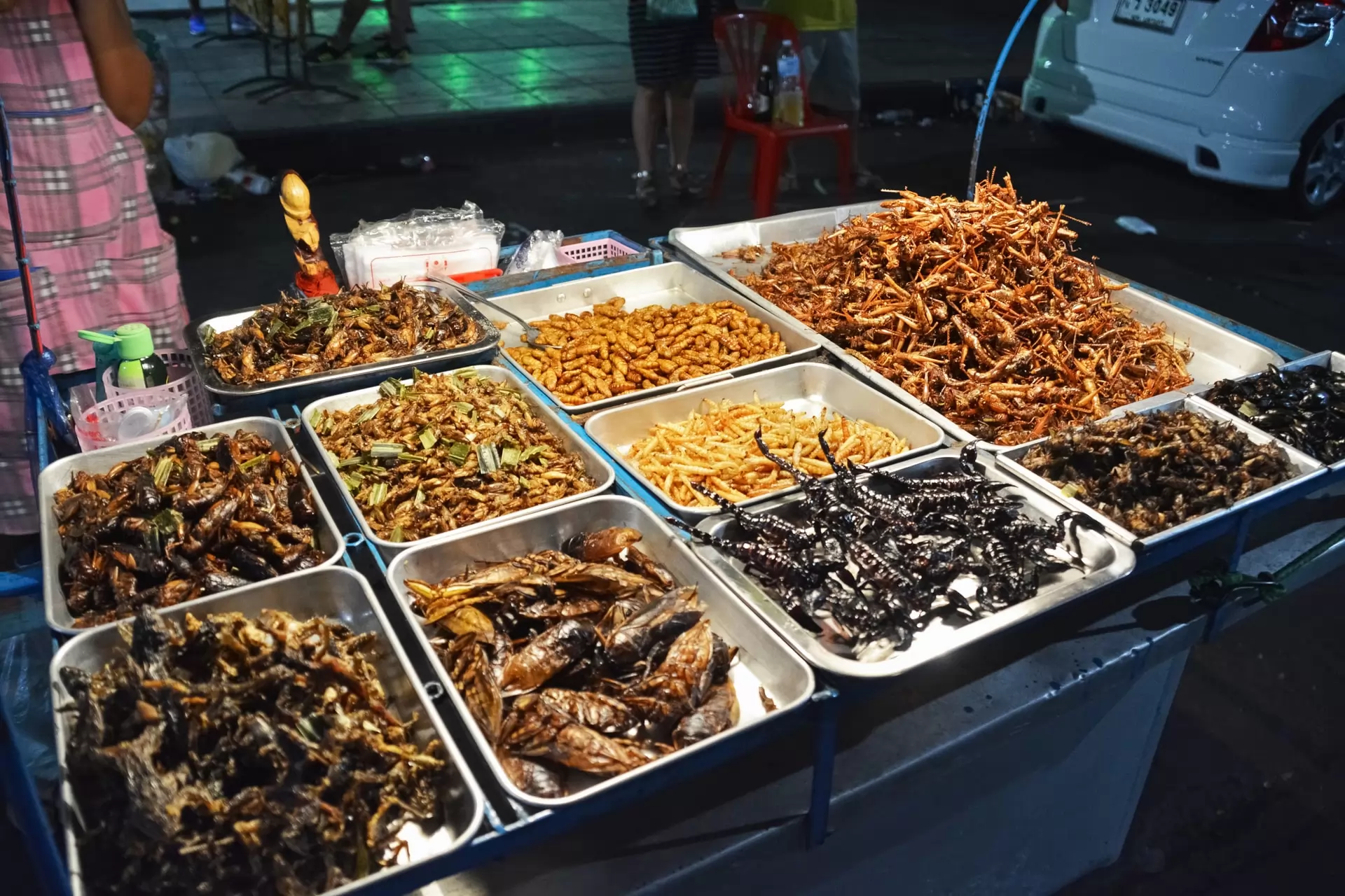 el mercado de los insectos comestibles