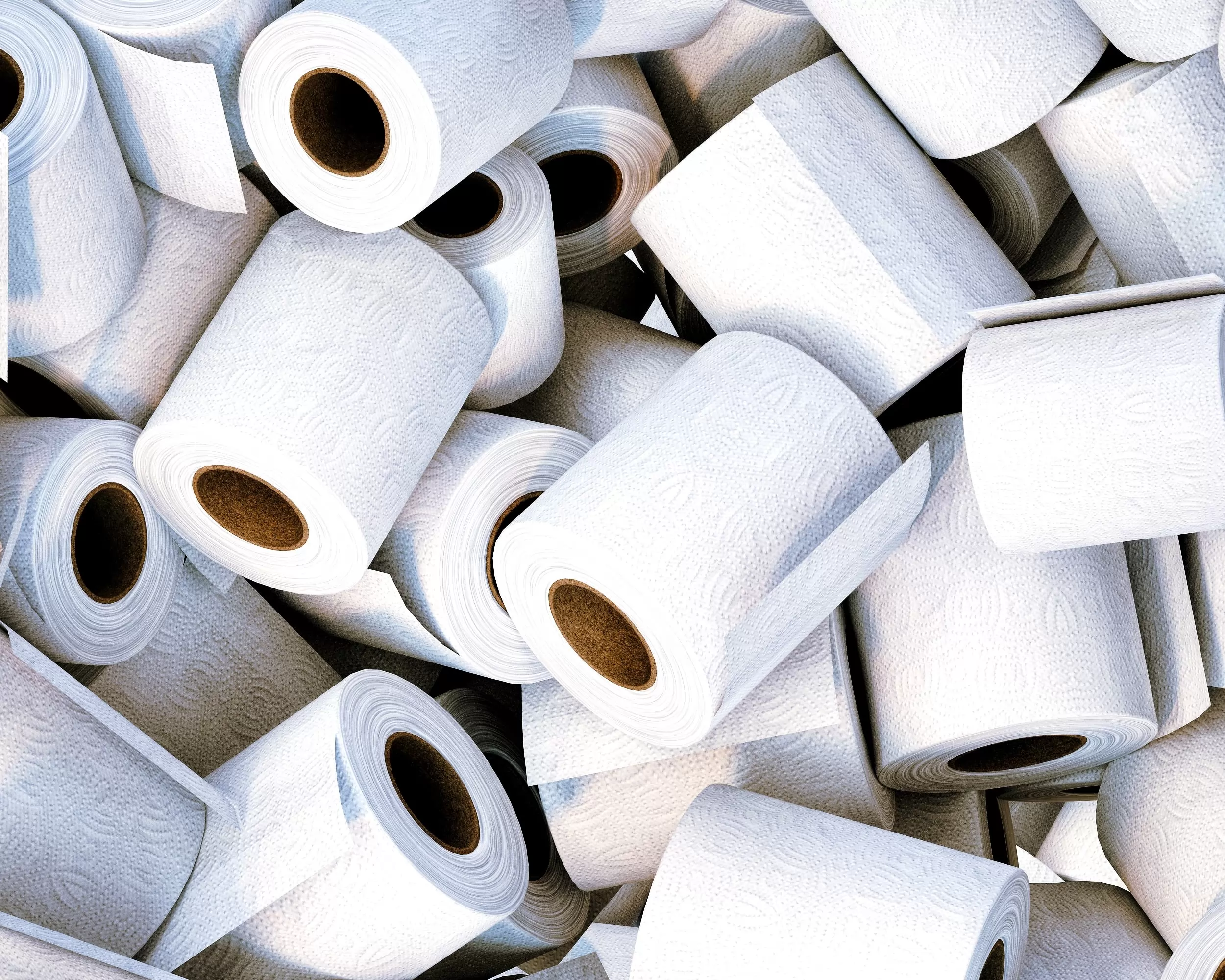 Le marché du papier toilette
