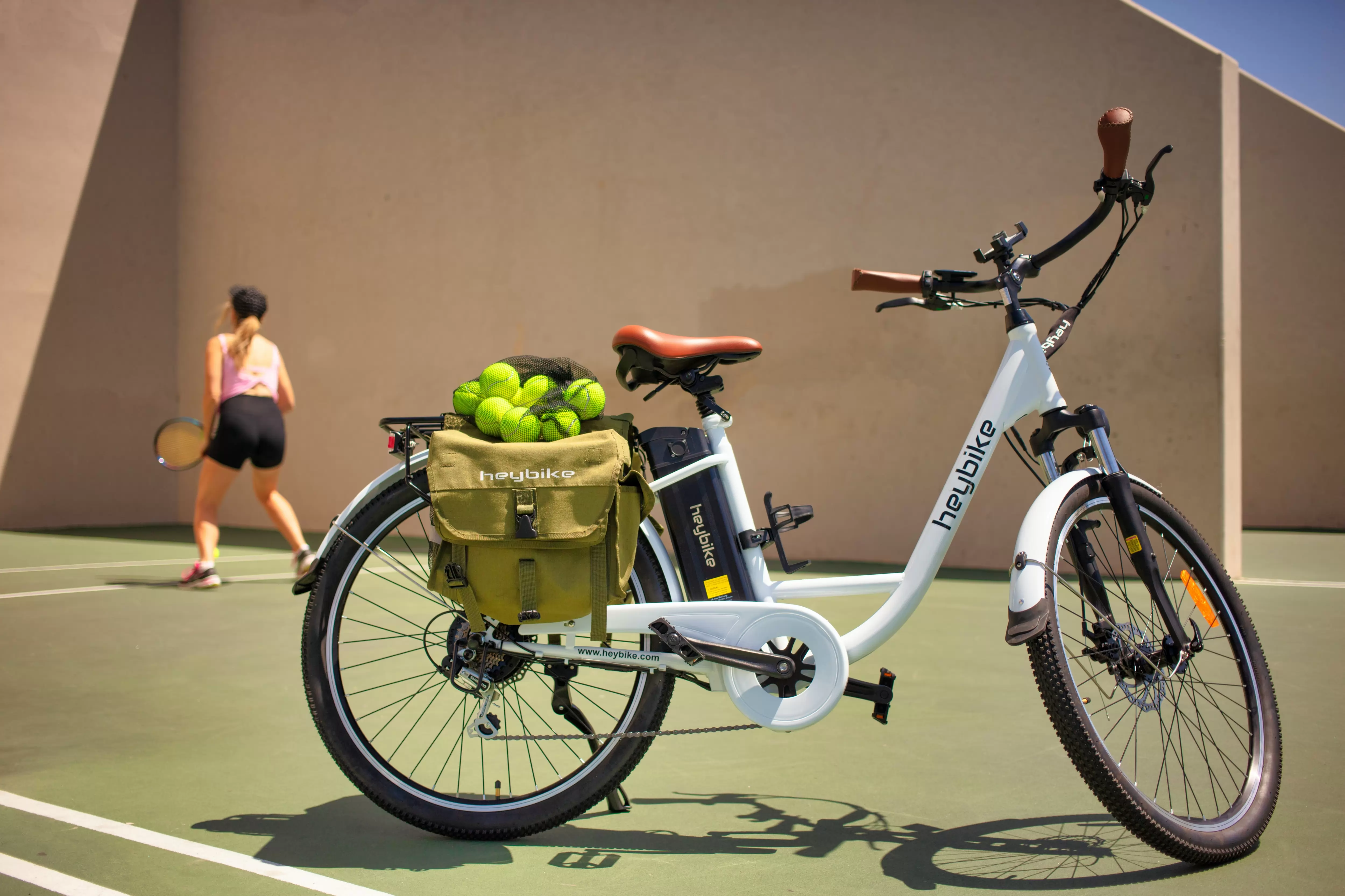 the electric bicycle market