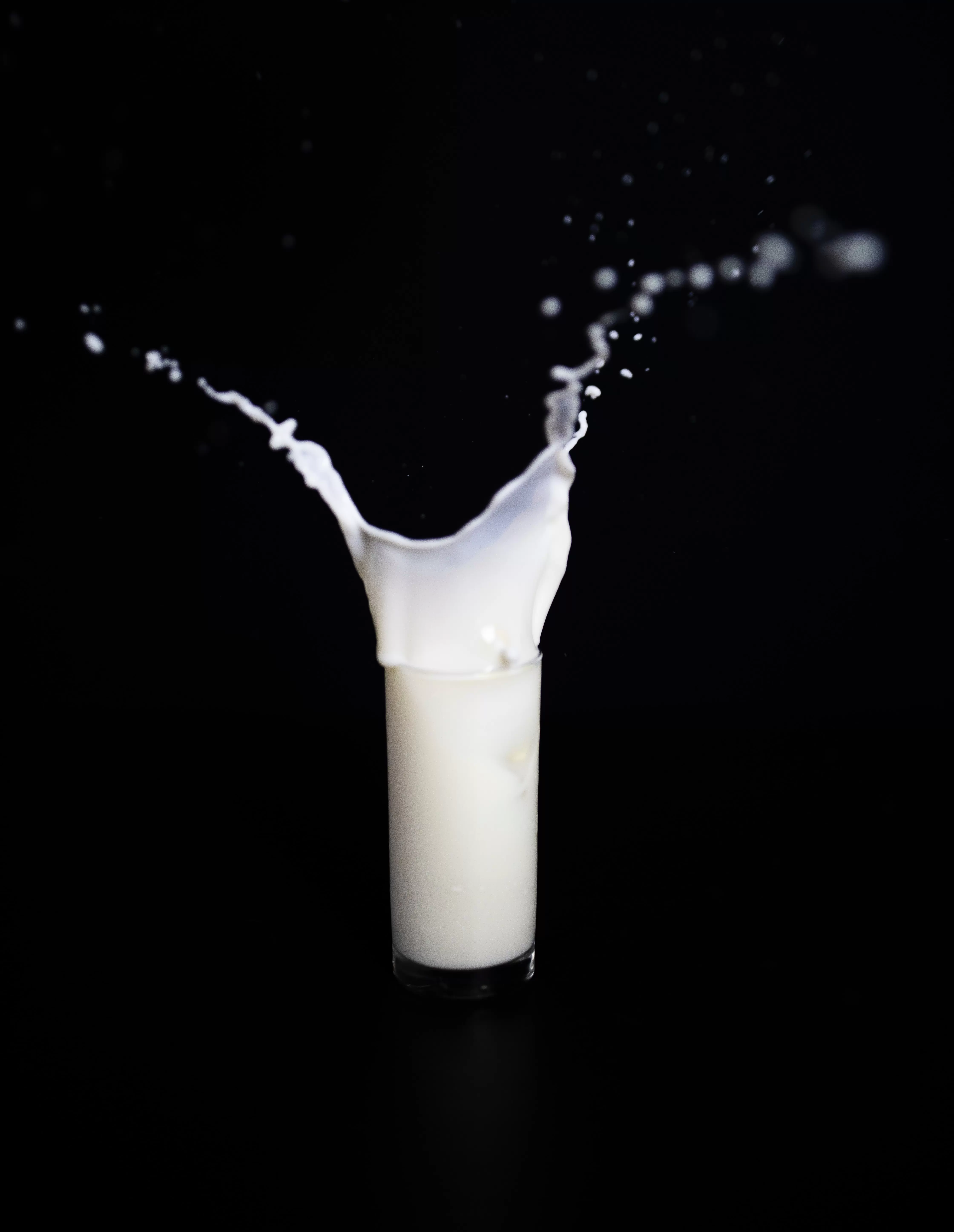 Le marché du lait végétal