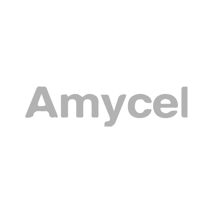 Amycel logo