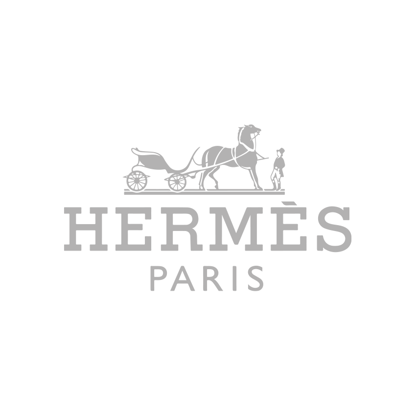 Hermes logo