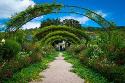 le marché du mobilier de jardin