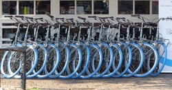 The bike rental market