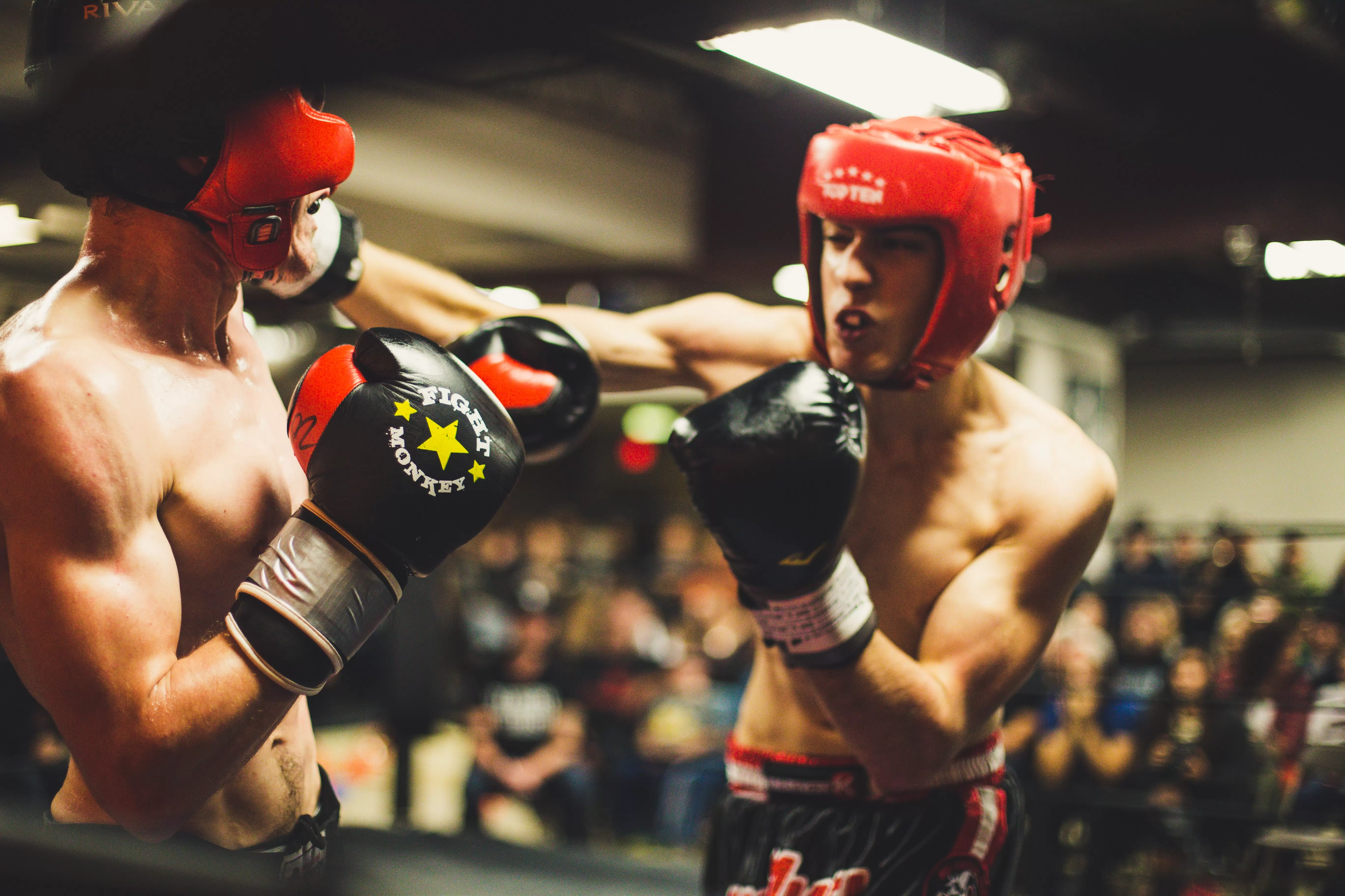 Le marché de la boxe