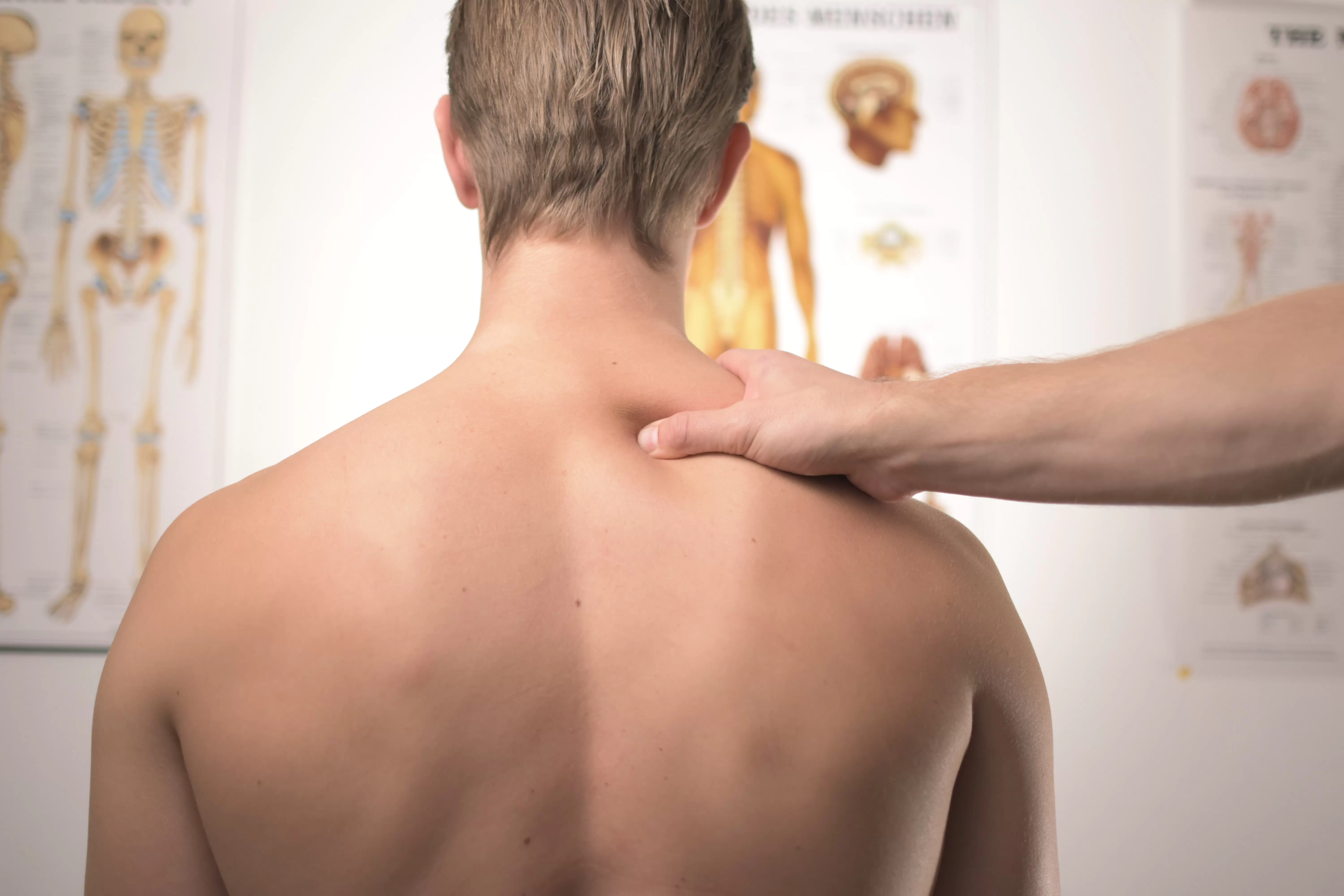 the physiotherapist masseur market