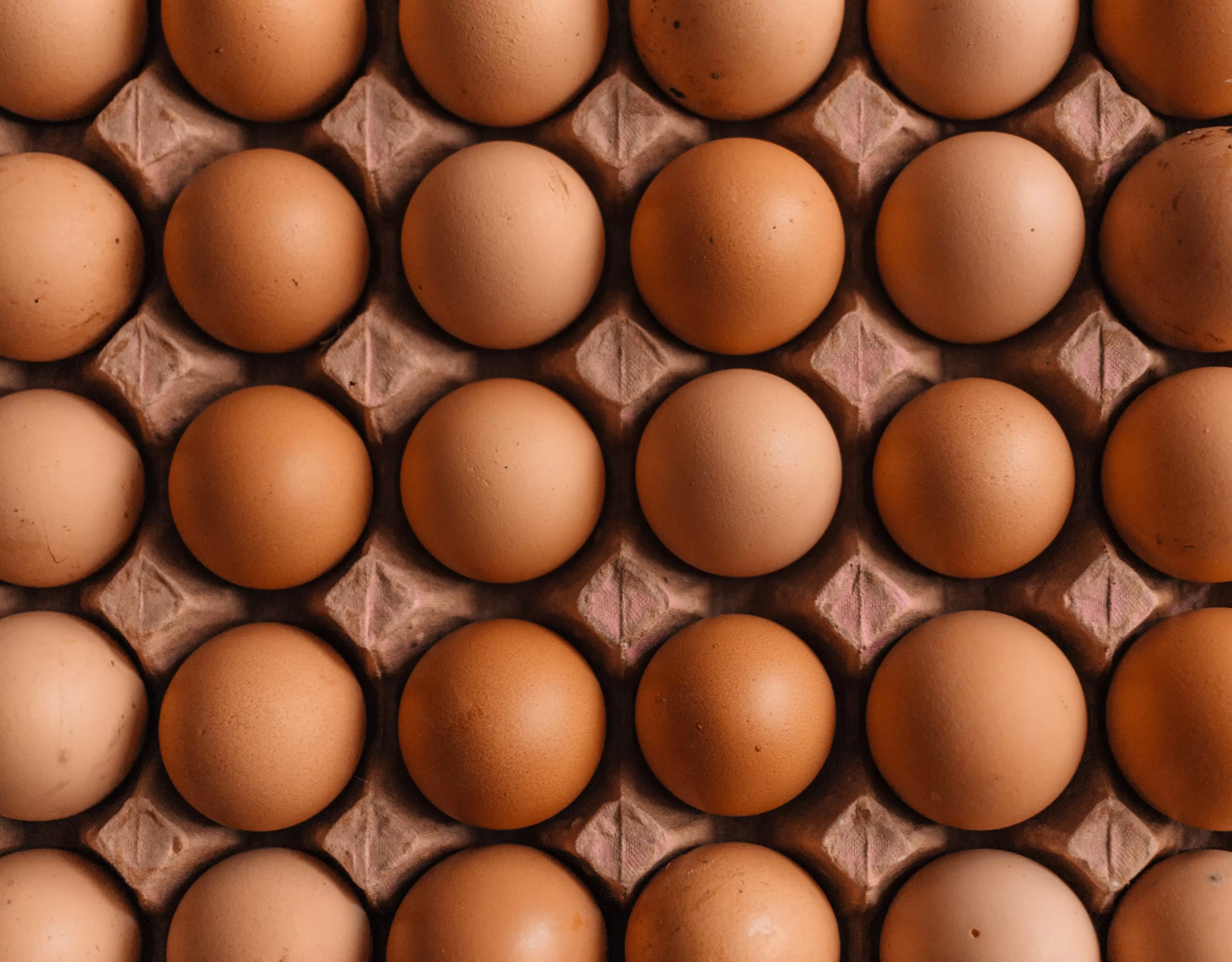 the egg market