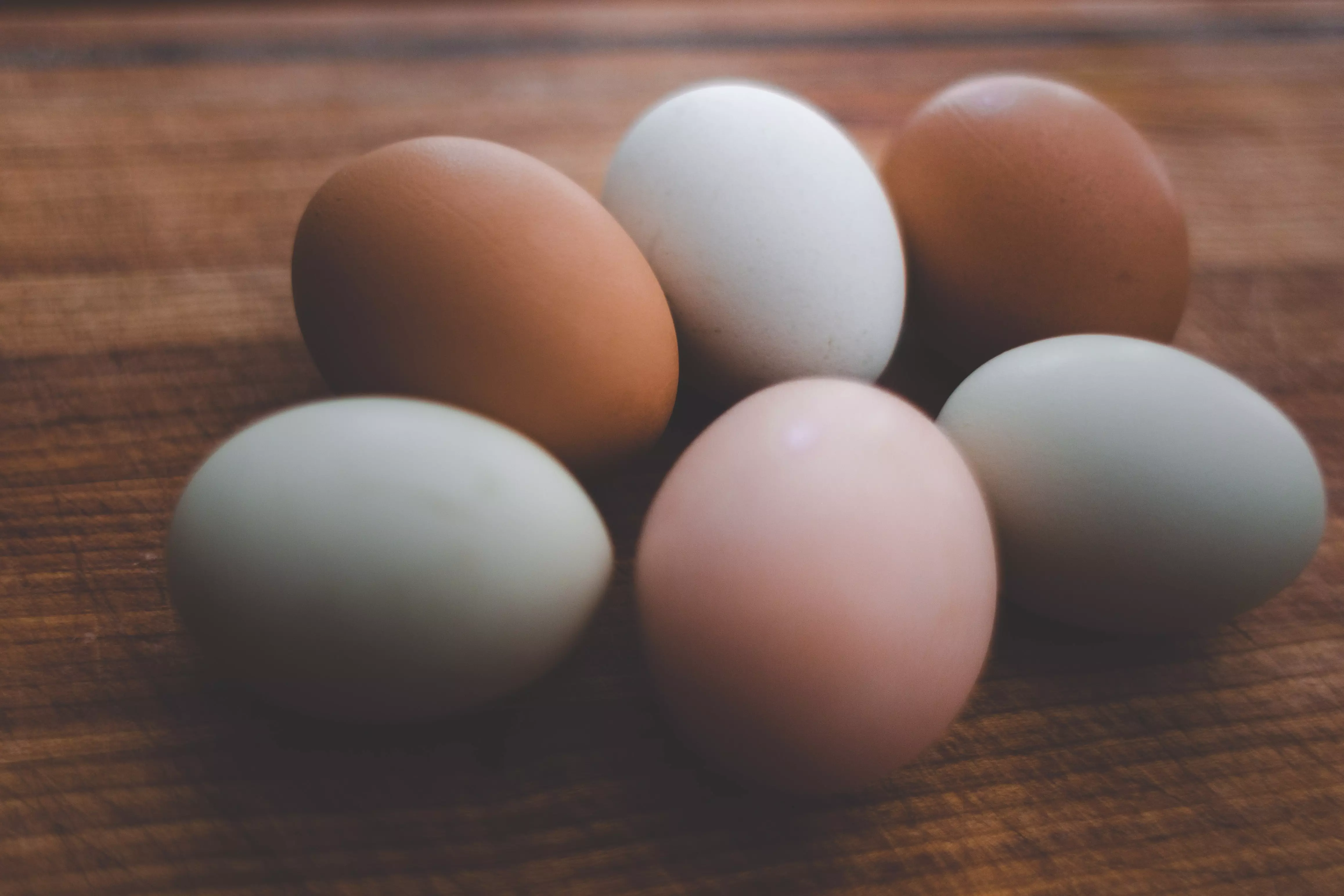 the egg market