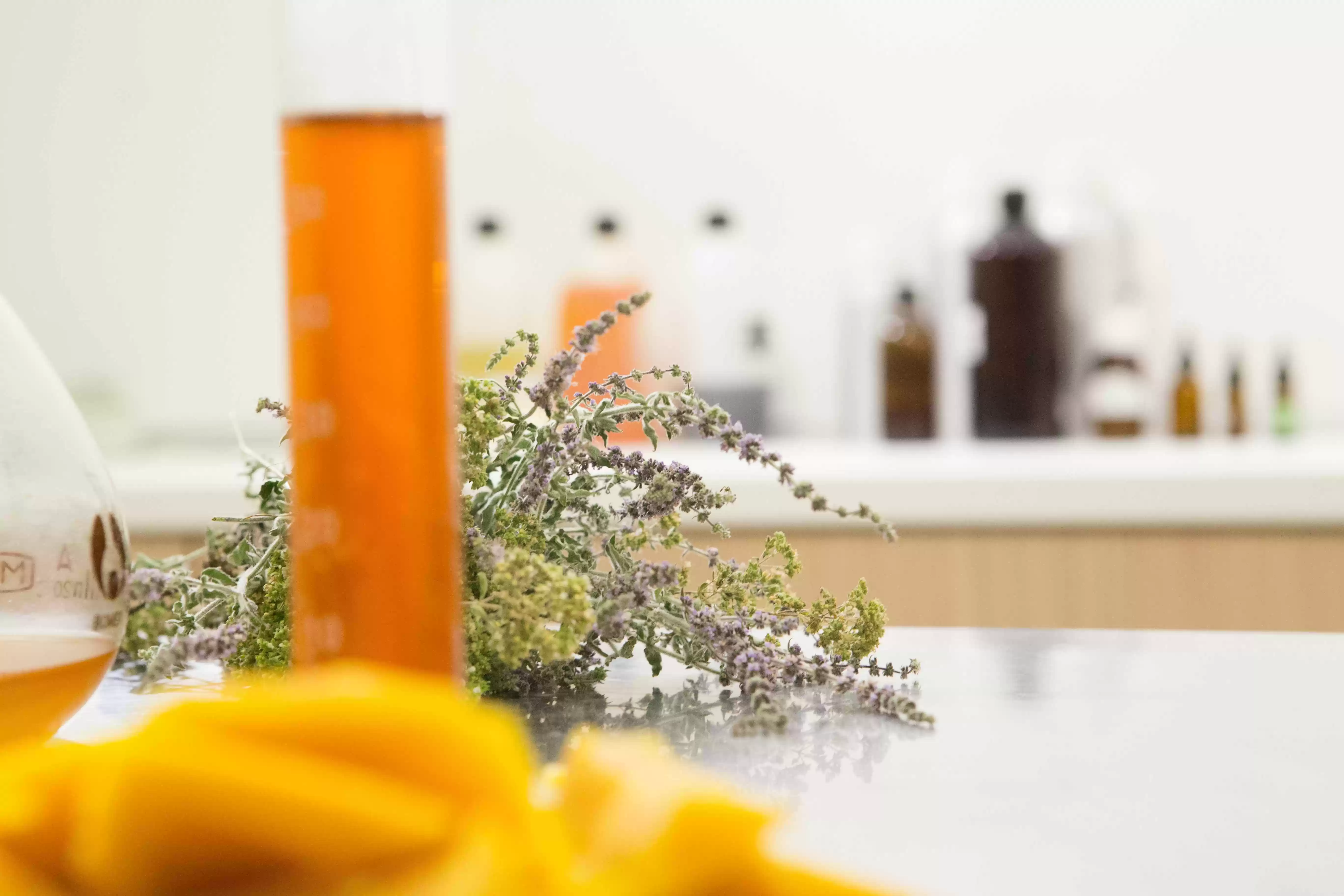 the organic cosmetics market