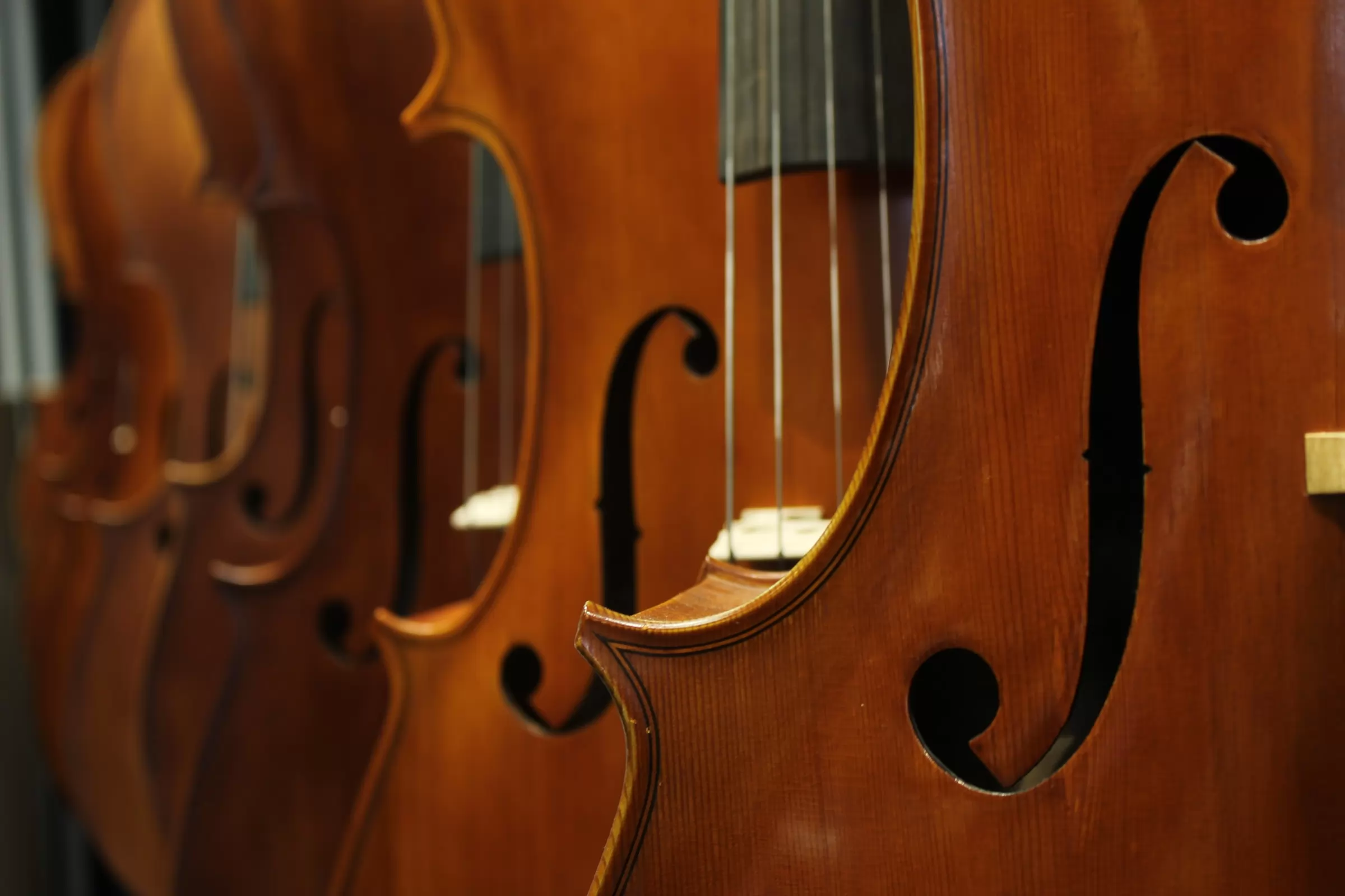 le marché des instruments de musiques