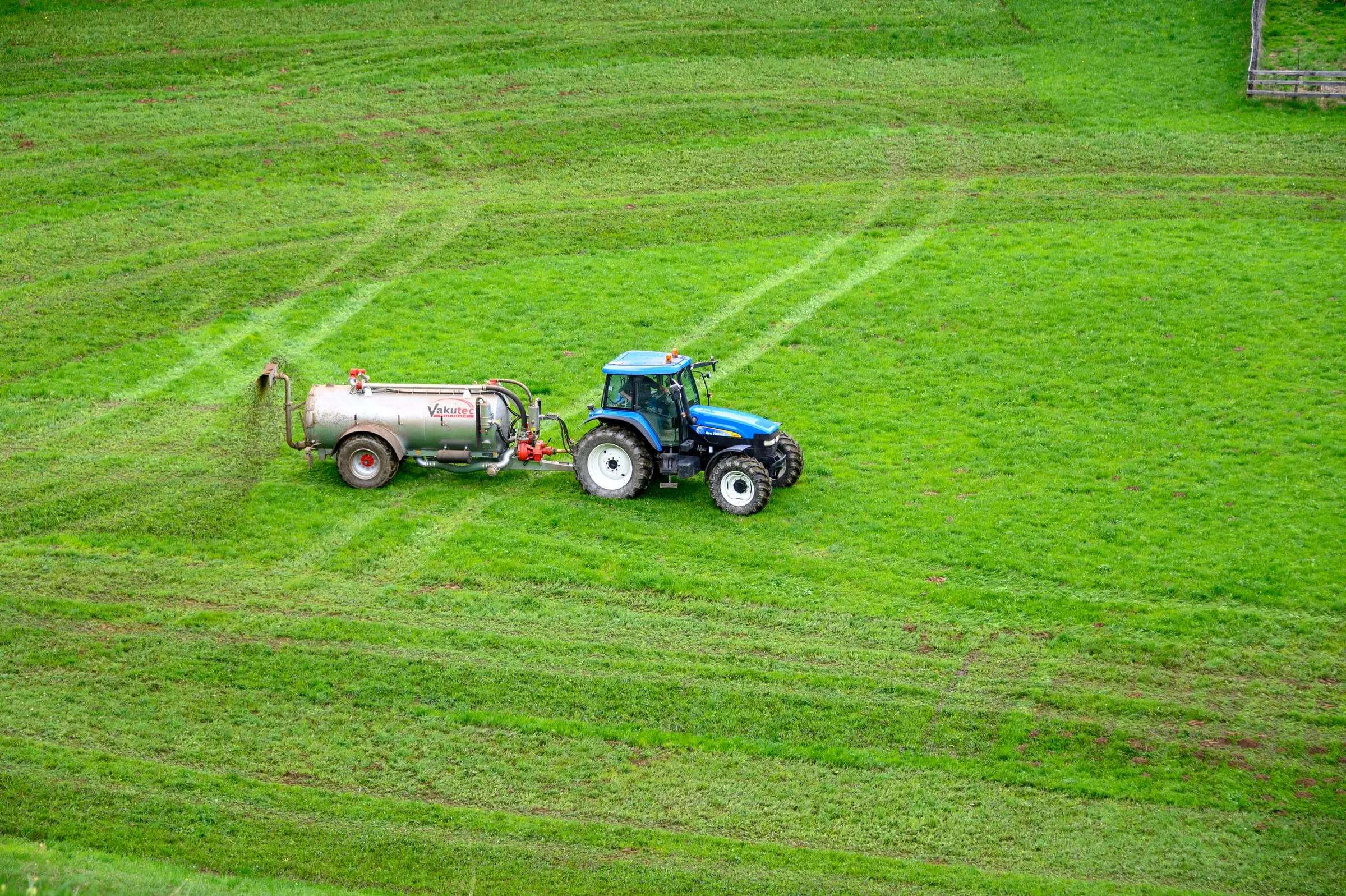 the fertilizer market