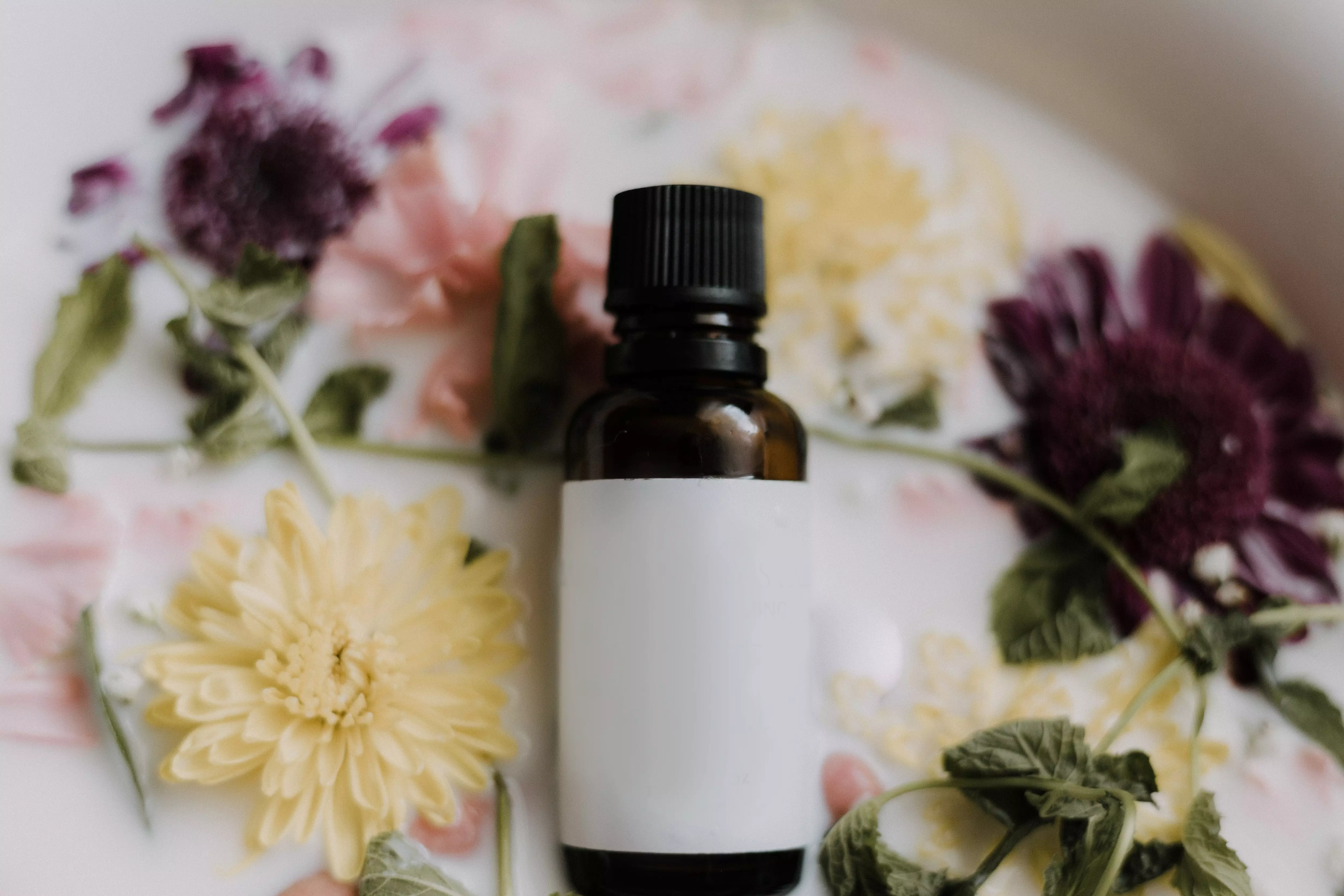 the aromatherapy market