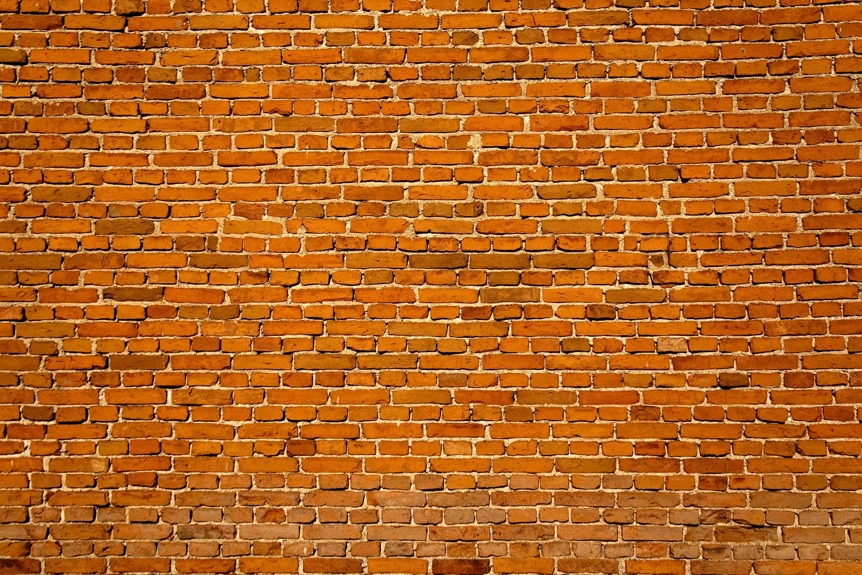 the clay brick market