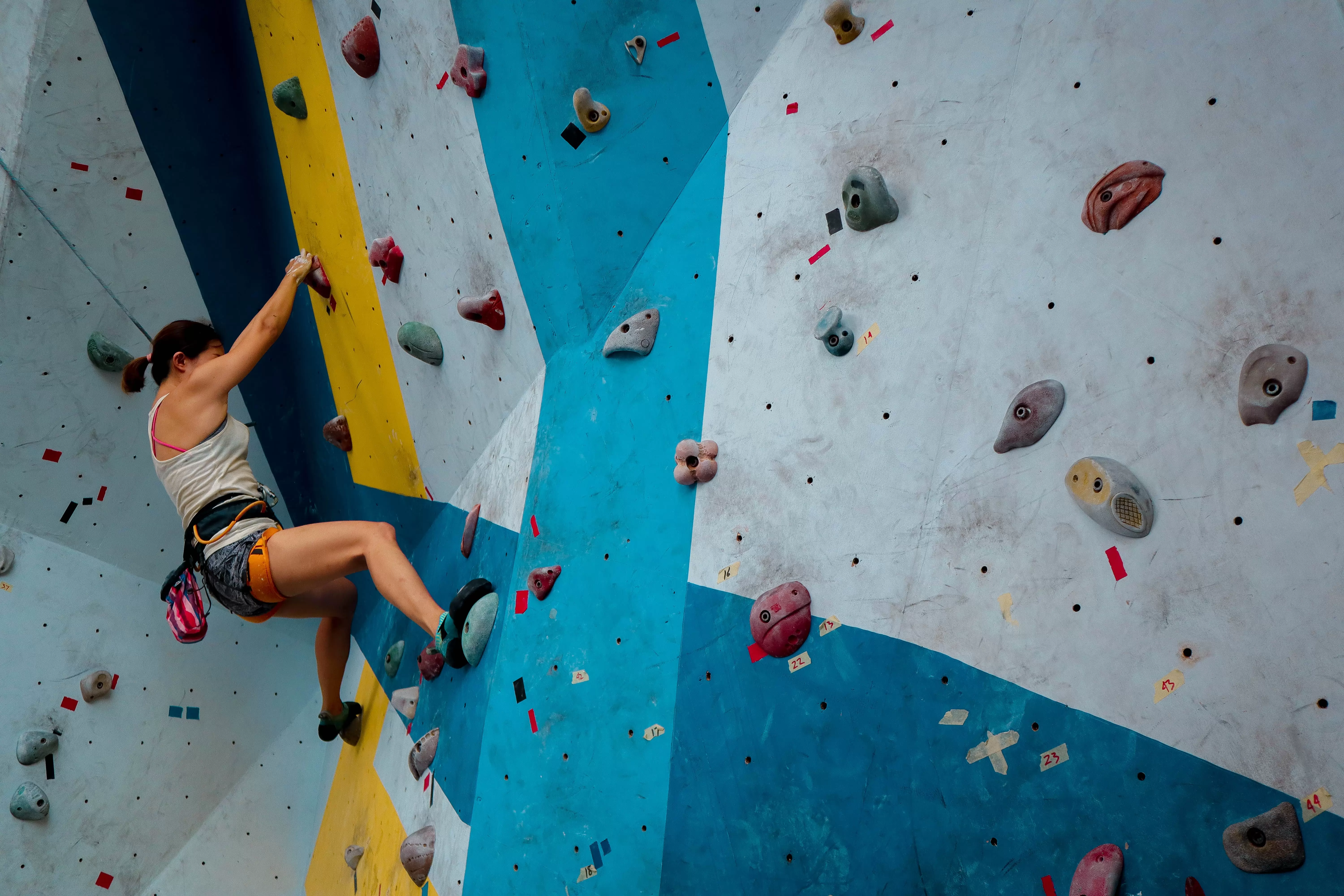 the climbing gym market