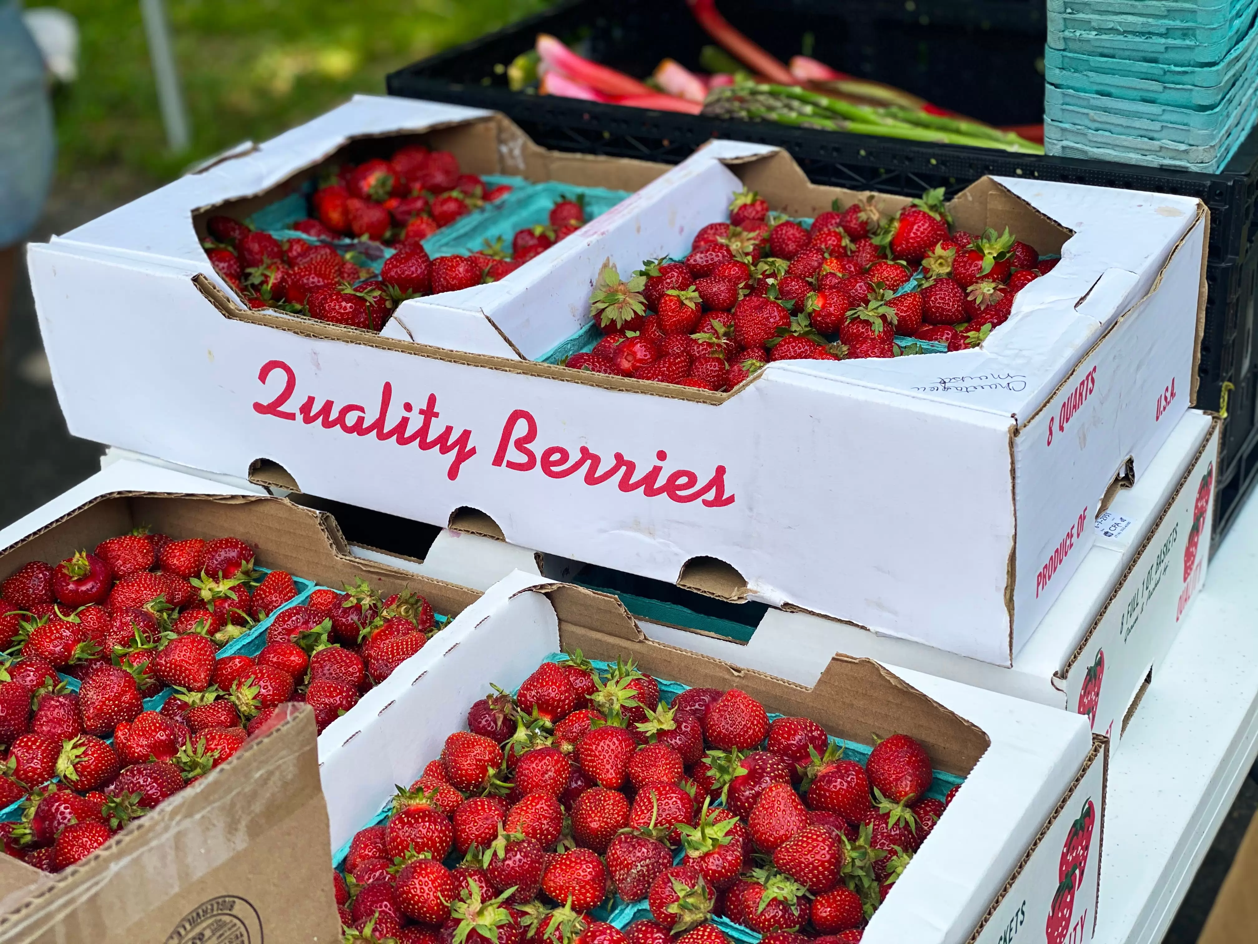 le marché des fruits et légumes bio