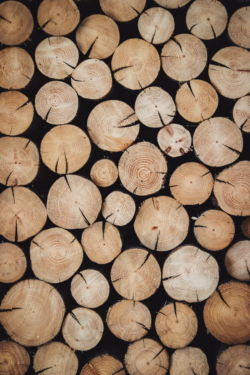 il mercato del riscaldamento a legna
