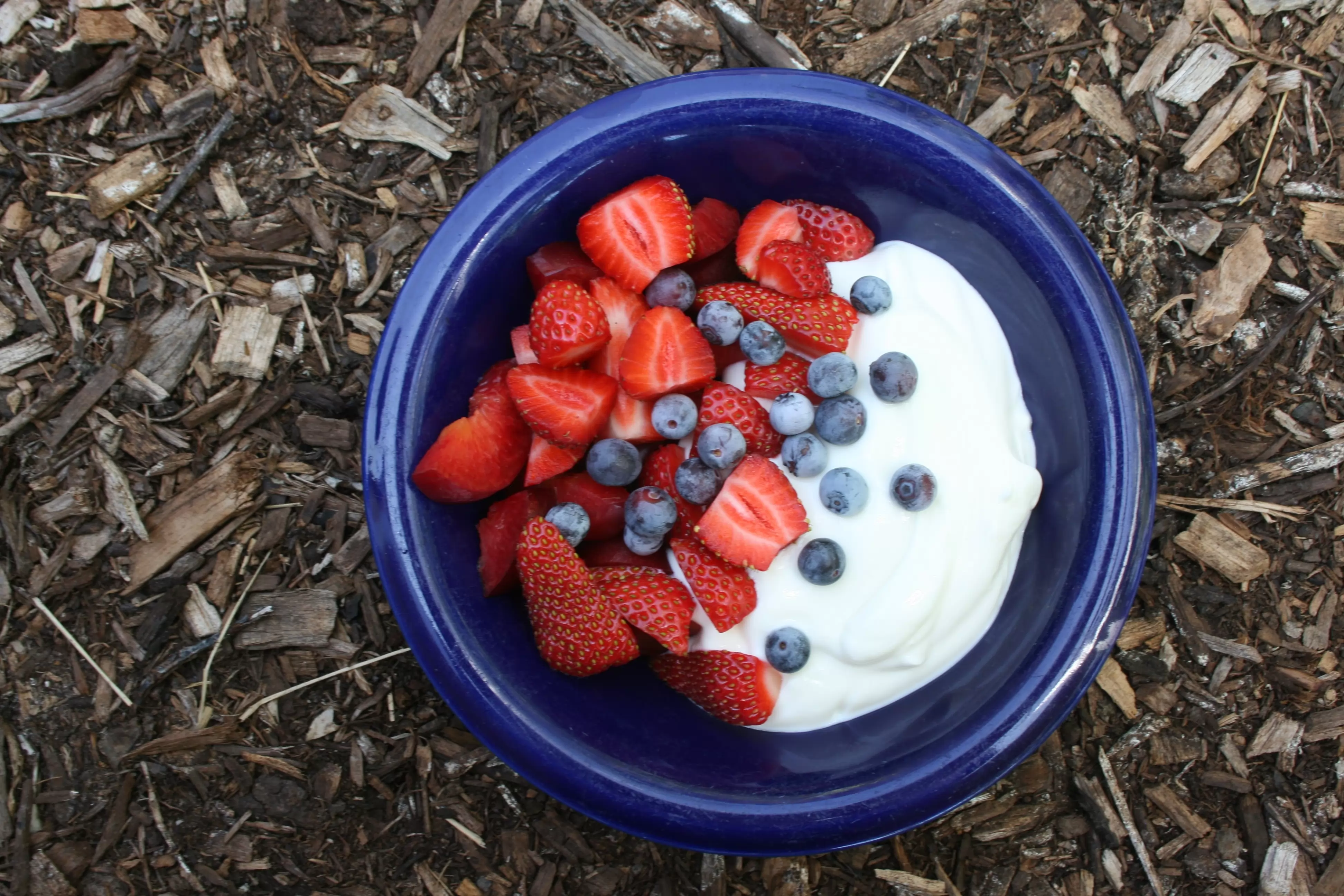 the yogurt market