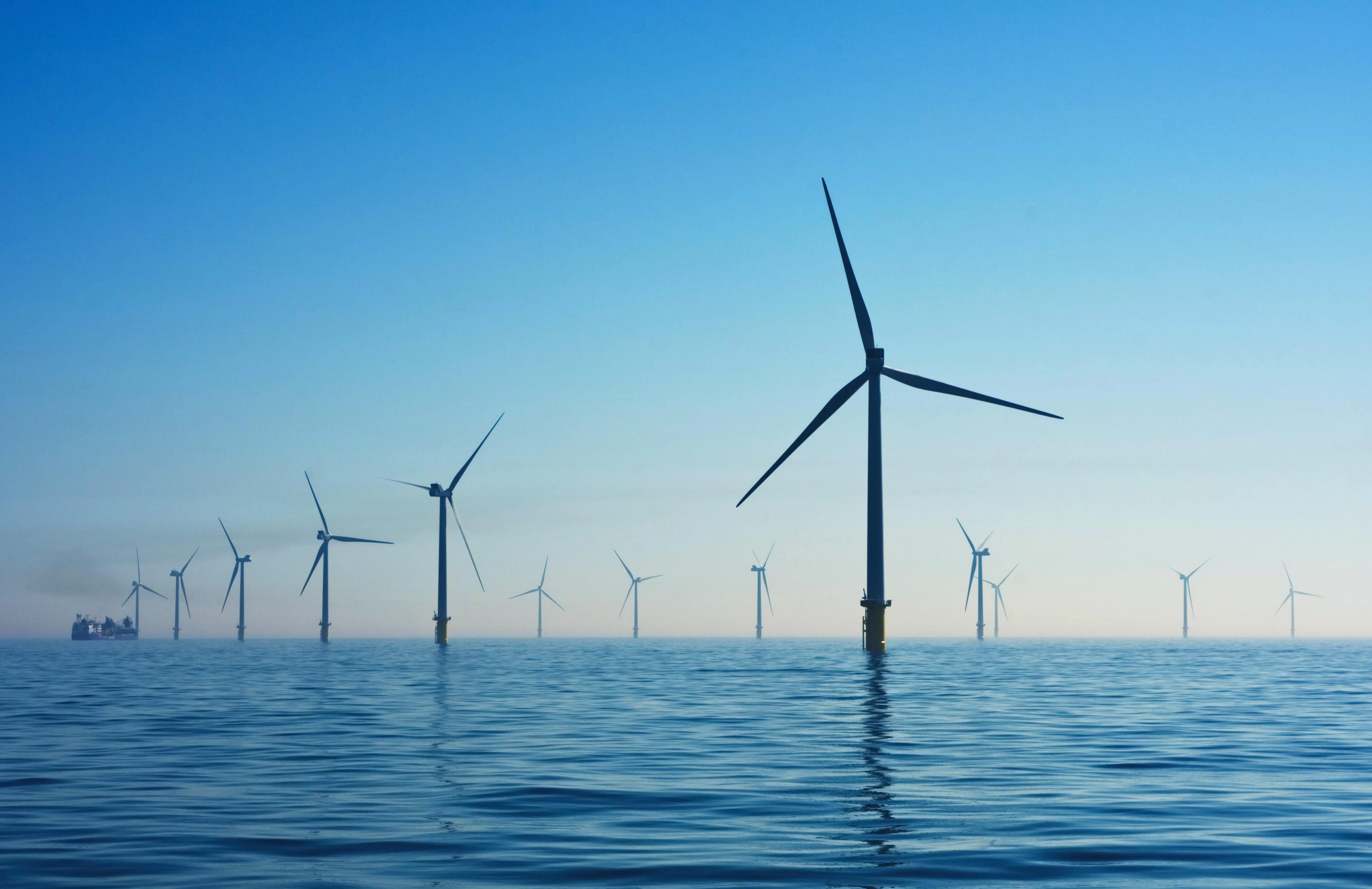 the offshore wind market