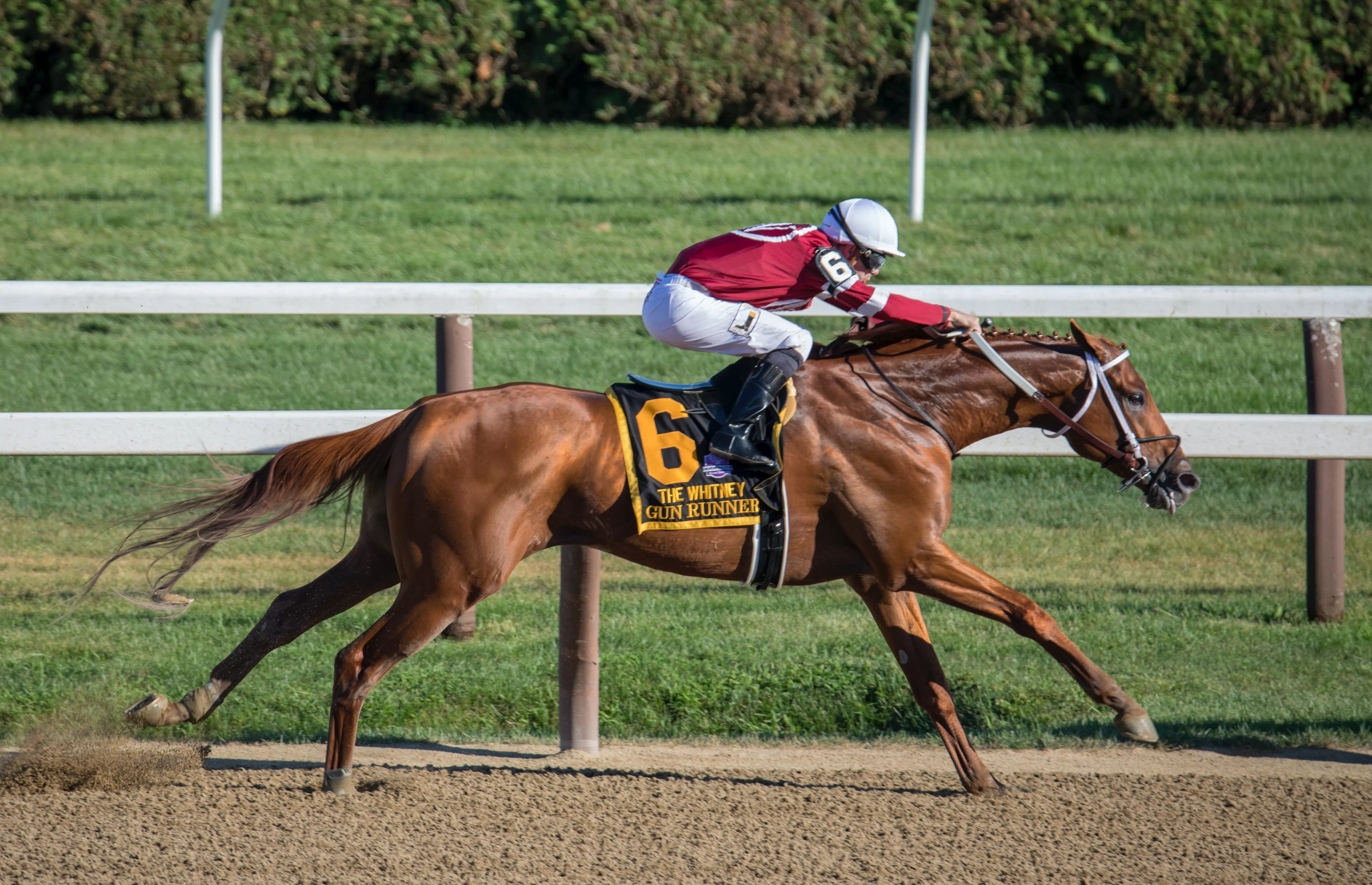 the racehorse market