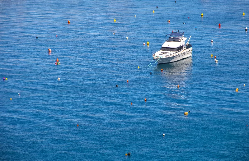 le marché du bateau de plaisance