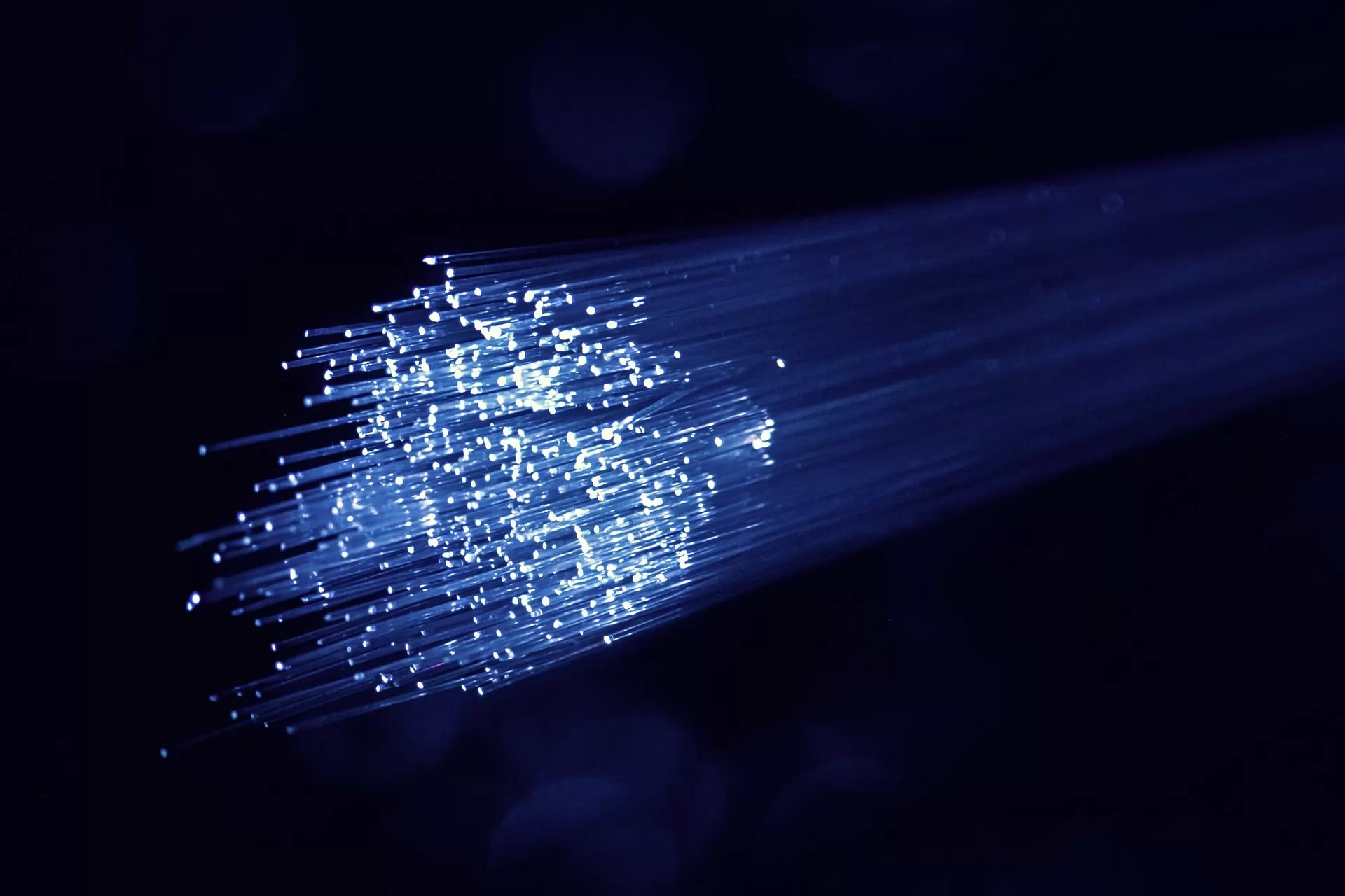 the fiber optic market