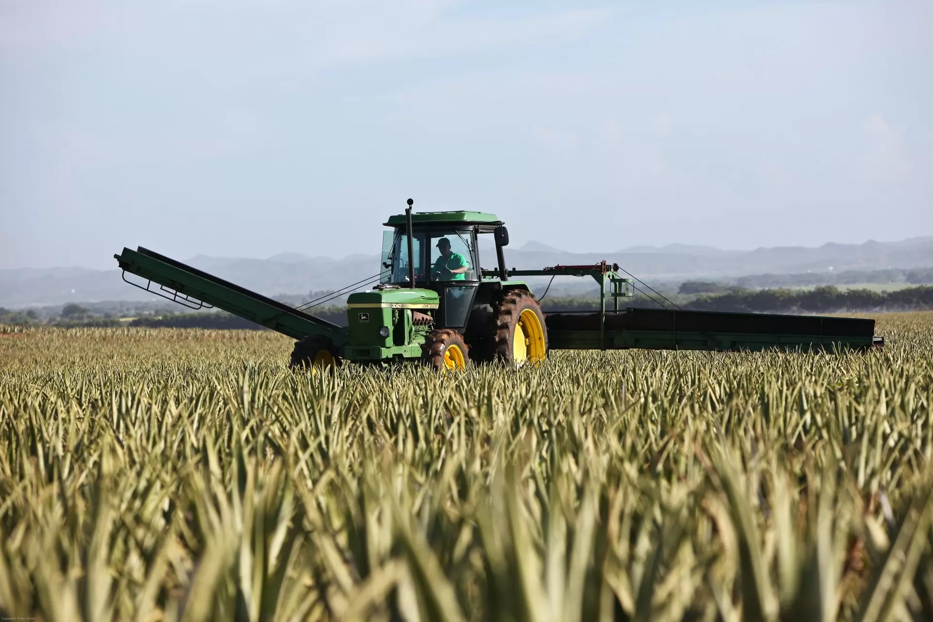 le marché du matériel agricole