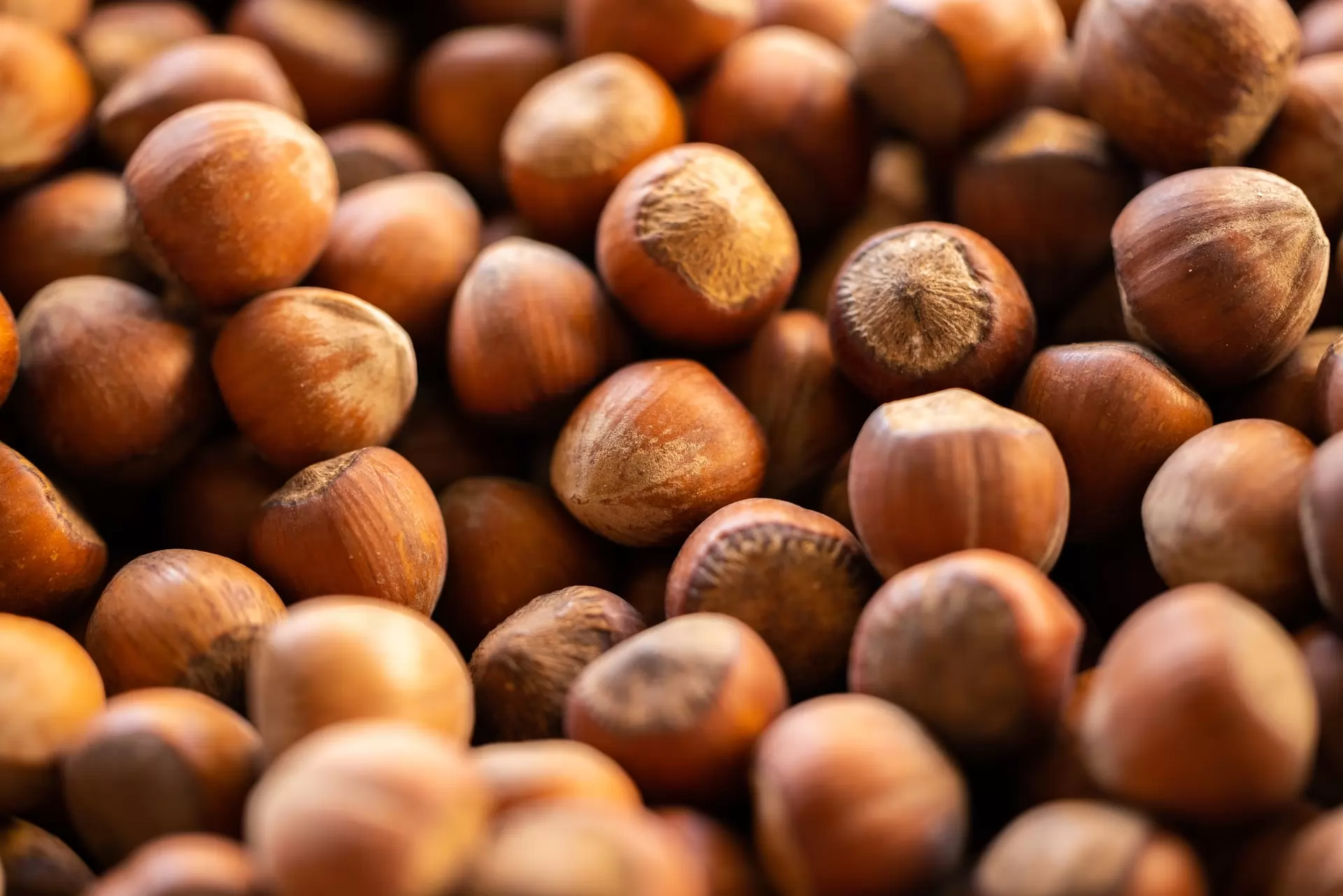 the hazelnut market