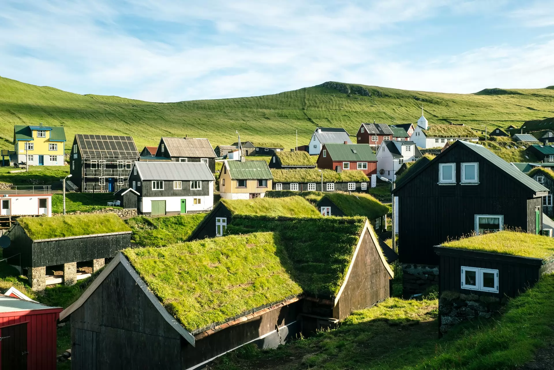 the green roof market