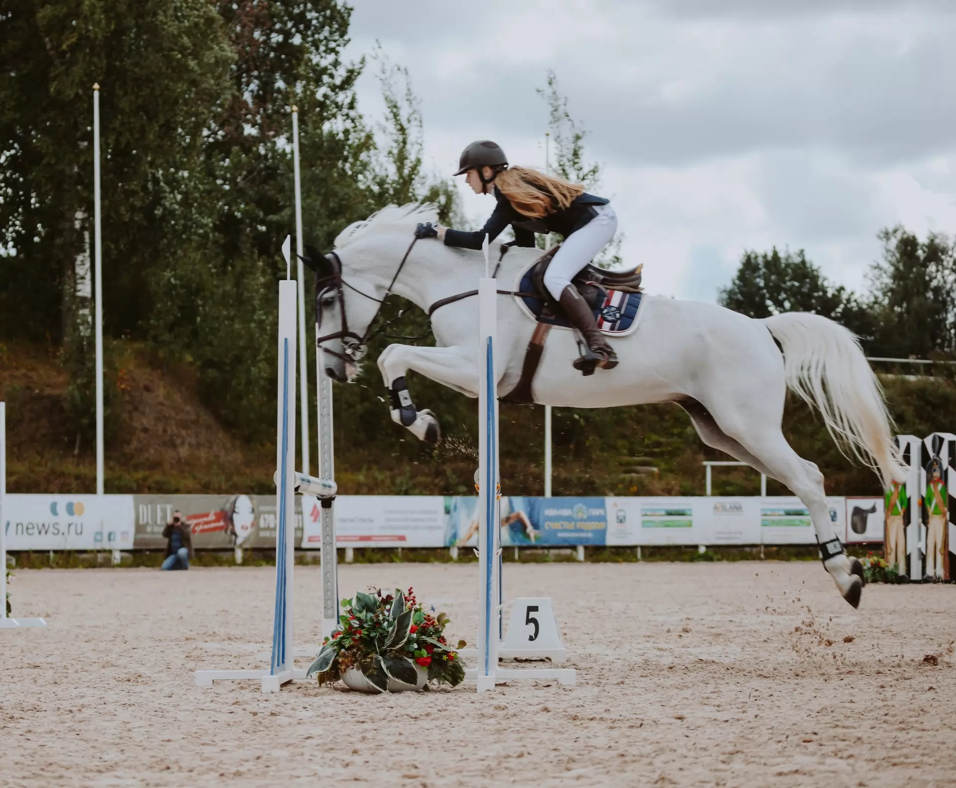 le marché de l'équitation