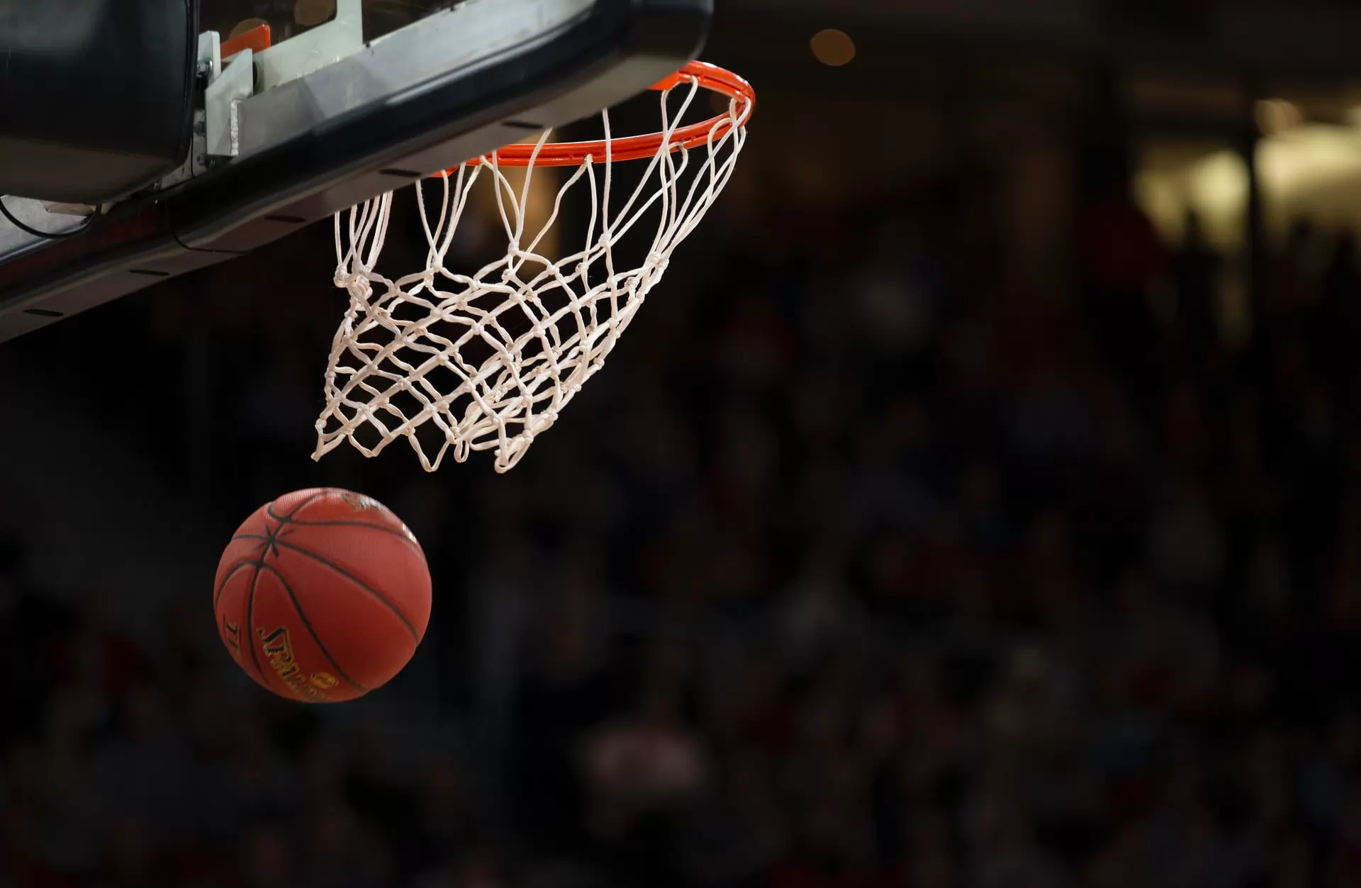 le marché du basketball