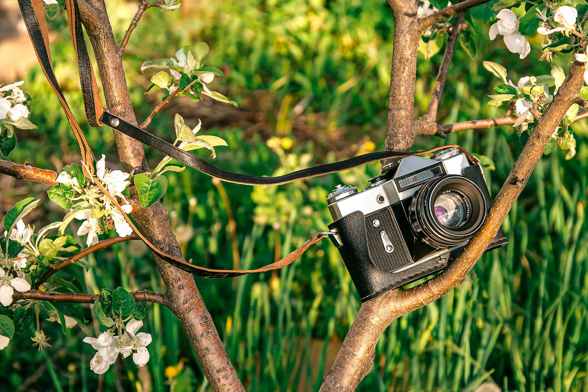 el mercado de los fotógrafos profesionales