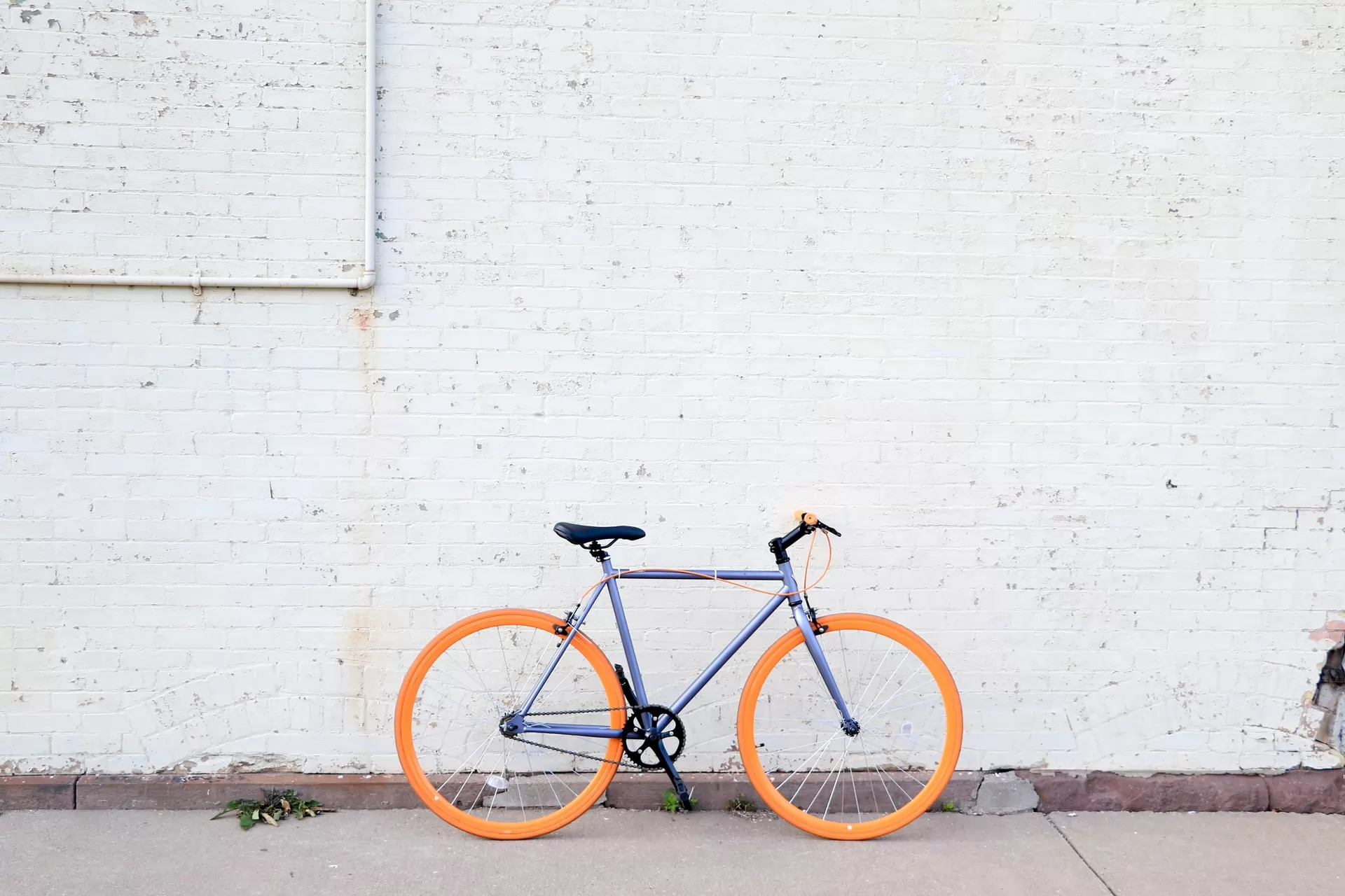 el mercado de las bicicletas