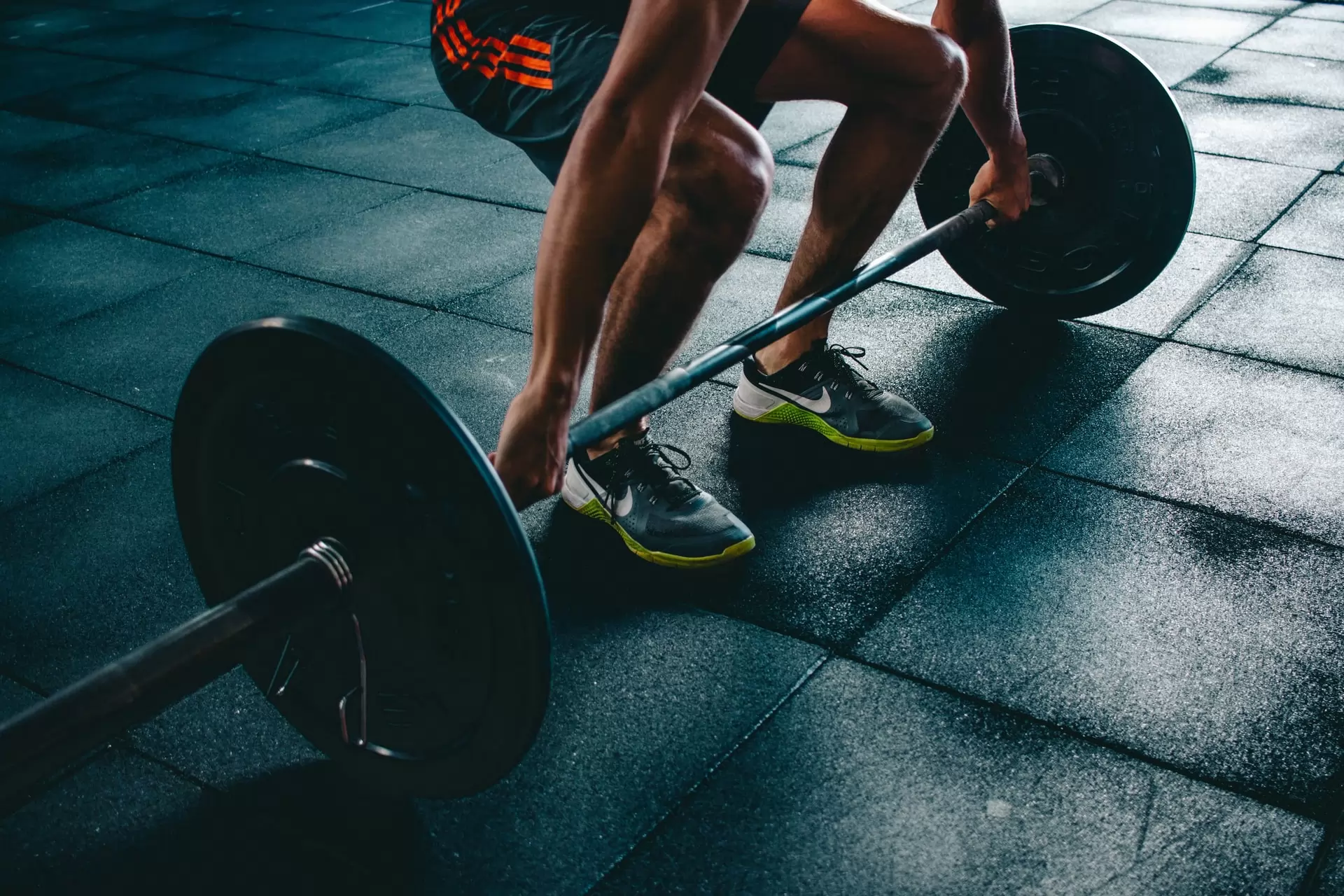 le marché du fitness