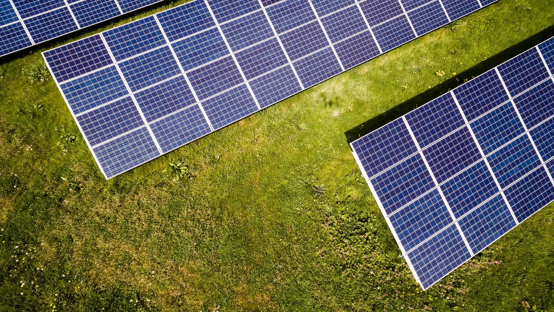 le marché des panneaux solaires