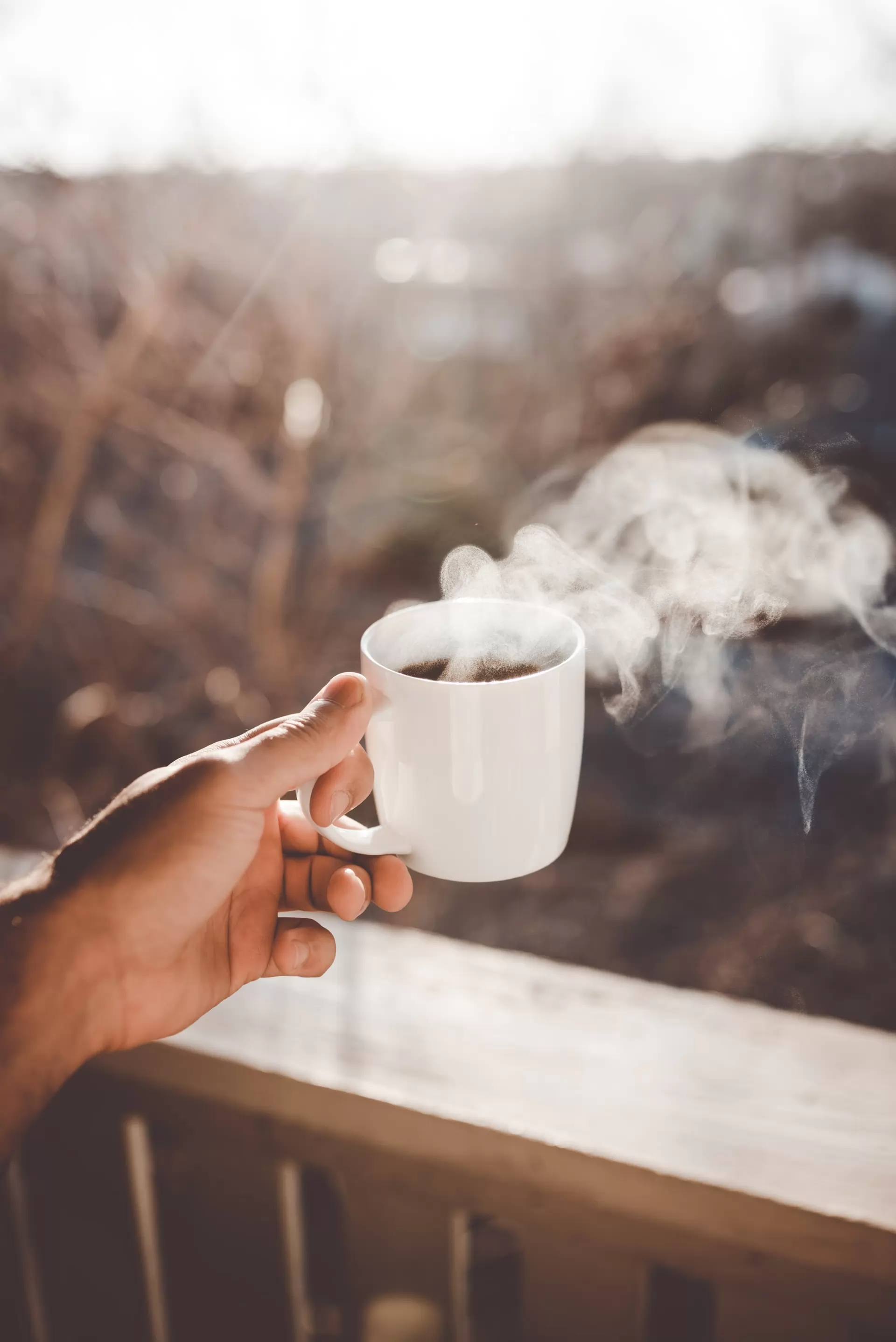 le marché des dosettes de café