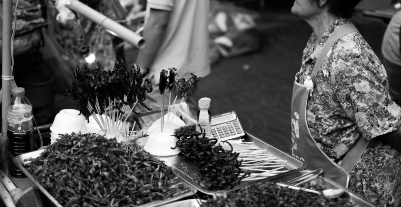 The edible insect market