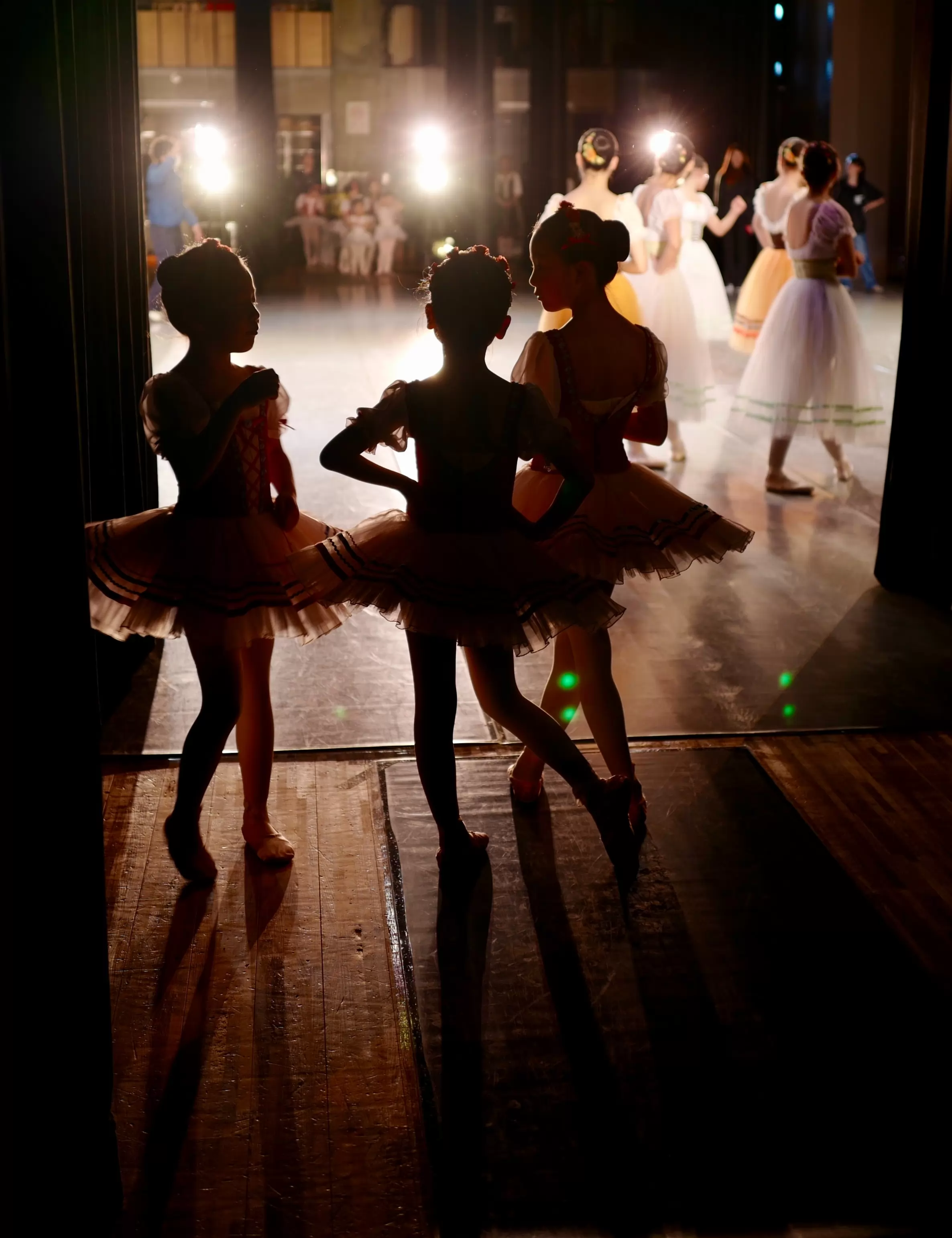 le marché des écoles de danse