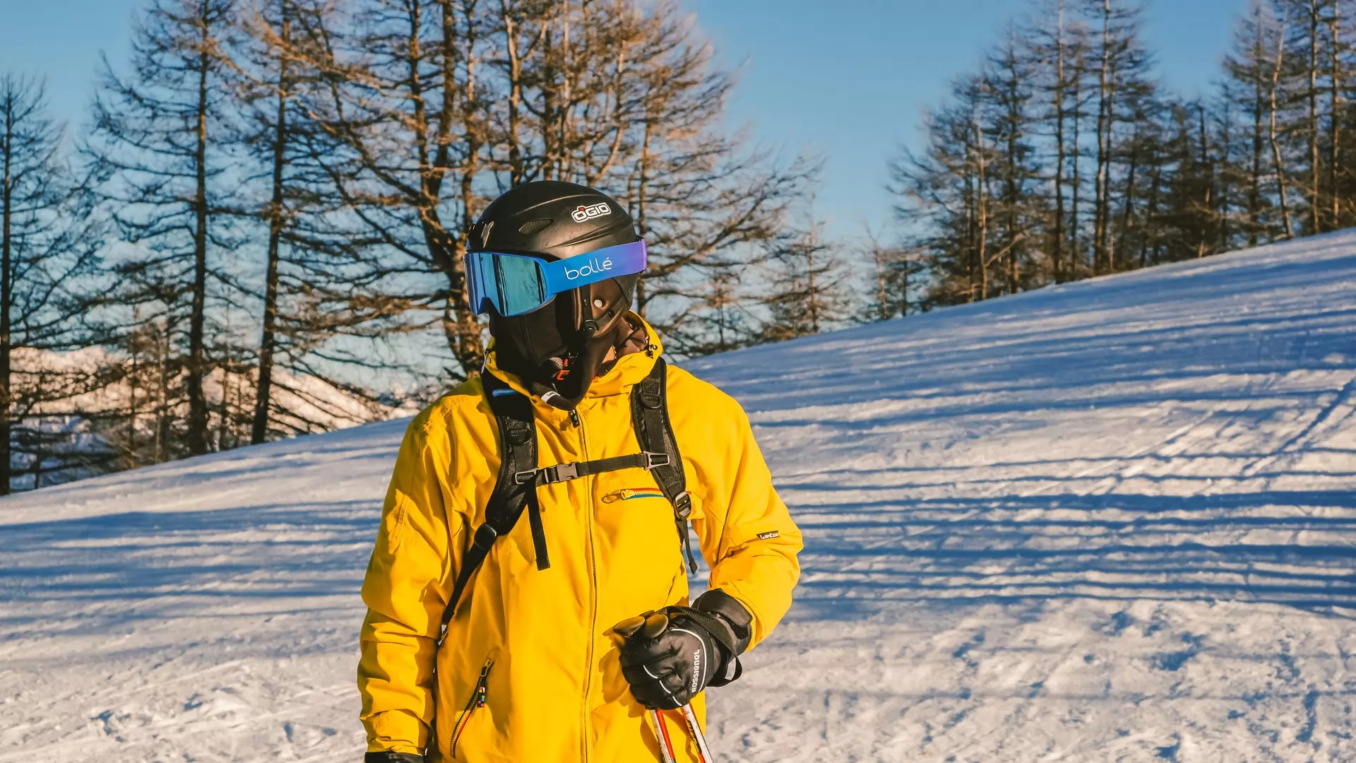 le marché des vêtements de ski