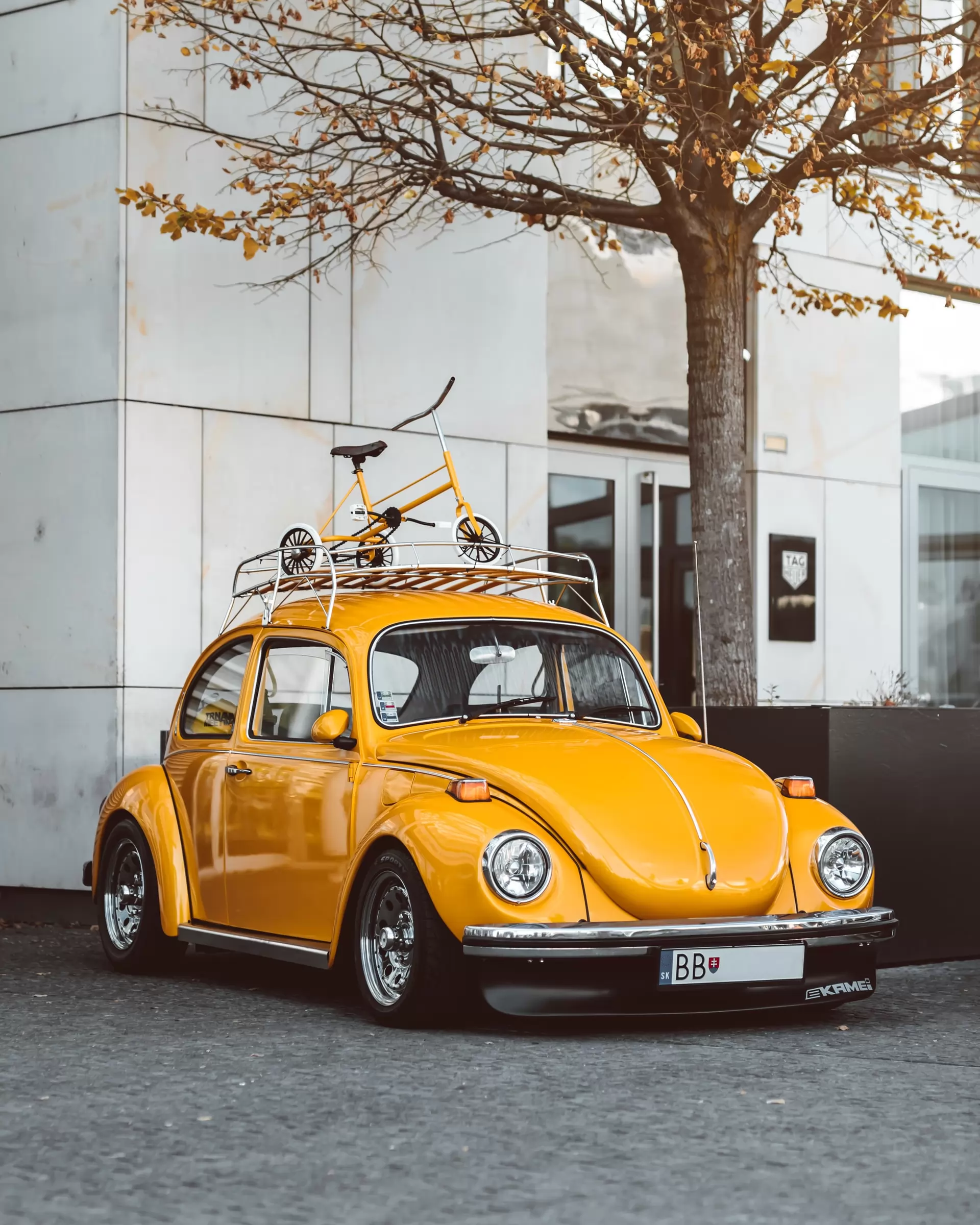 le marché des automobiles de collection