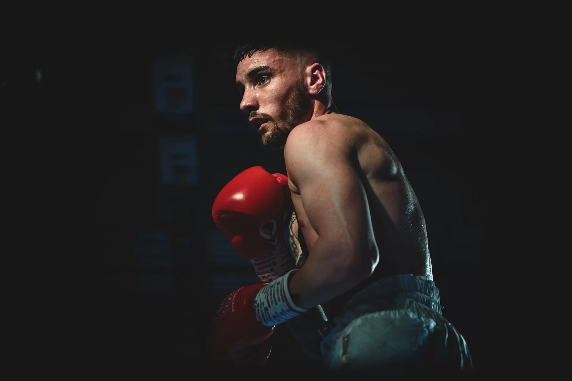 Le marché de la boxe