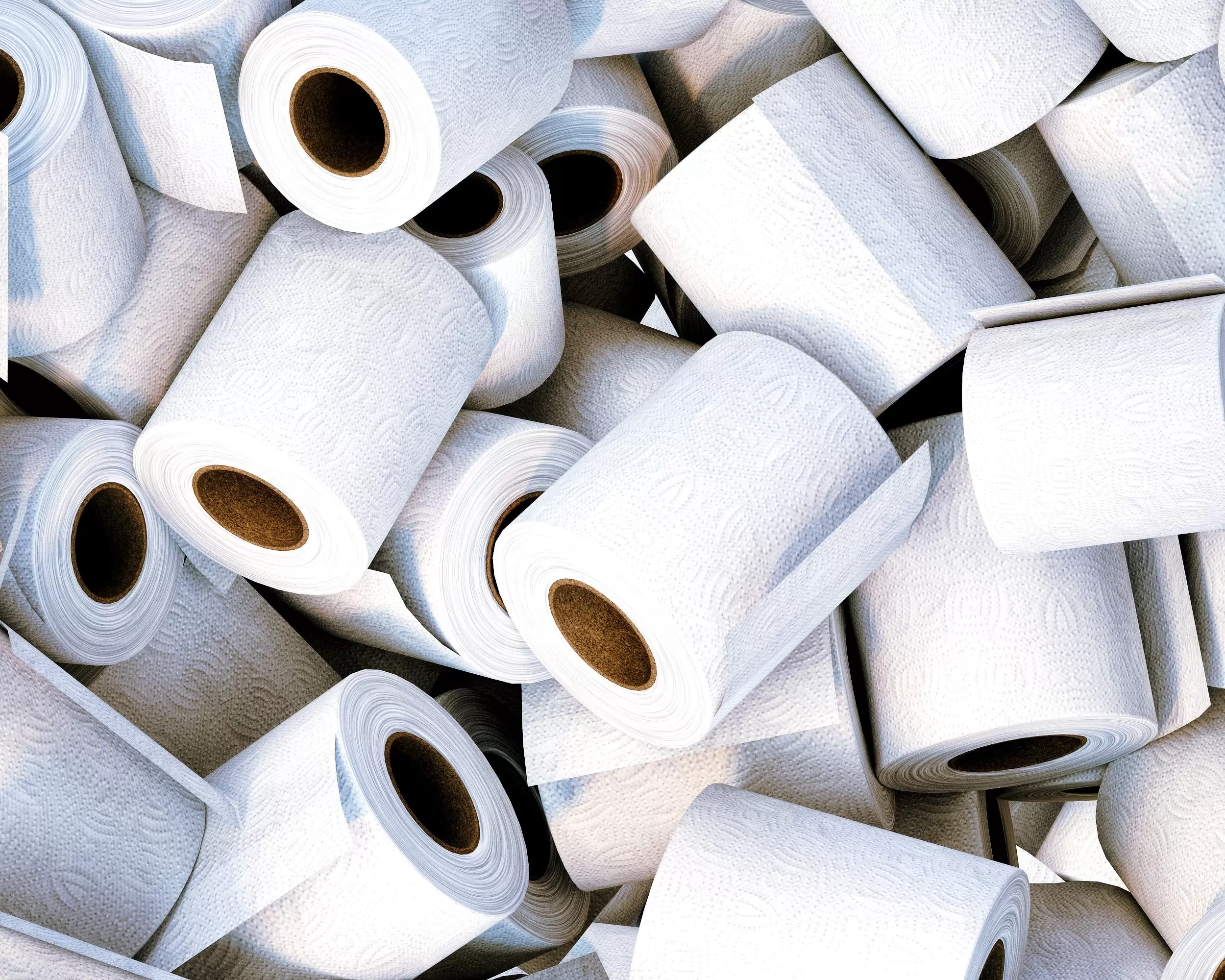 The toilet paper market