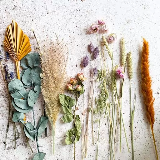 Le marché des fleurs séchées