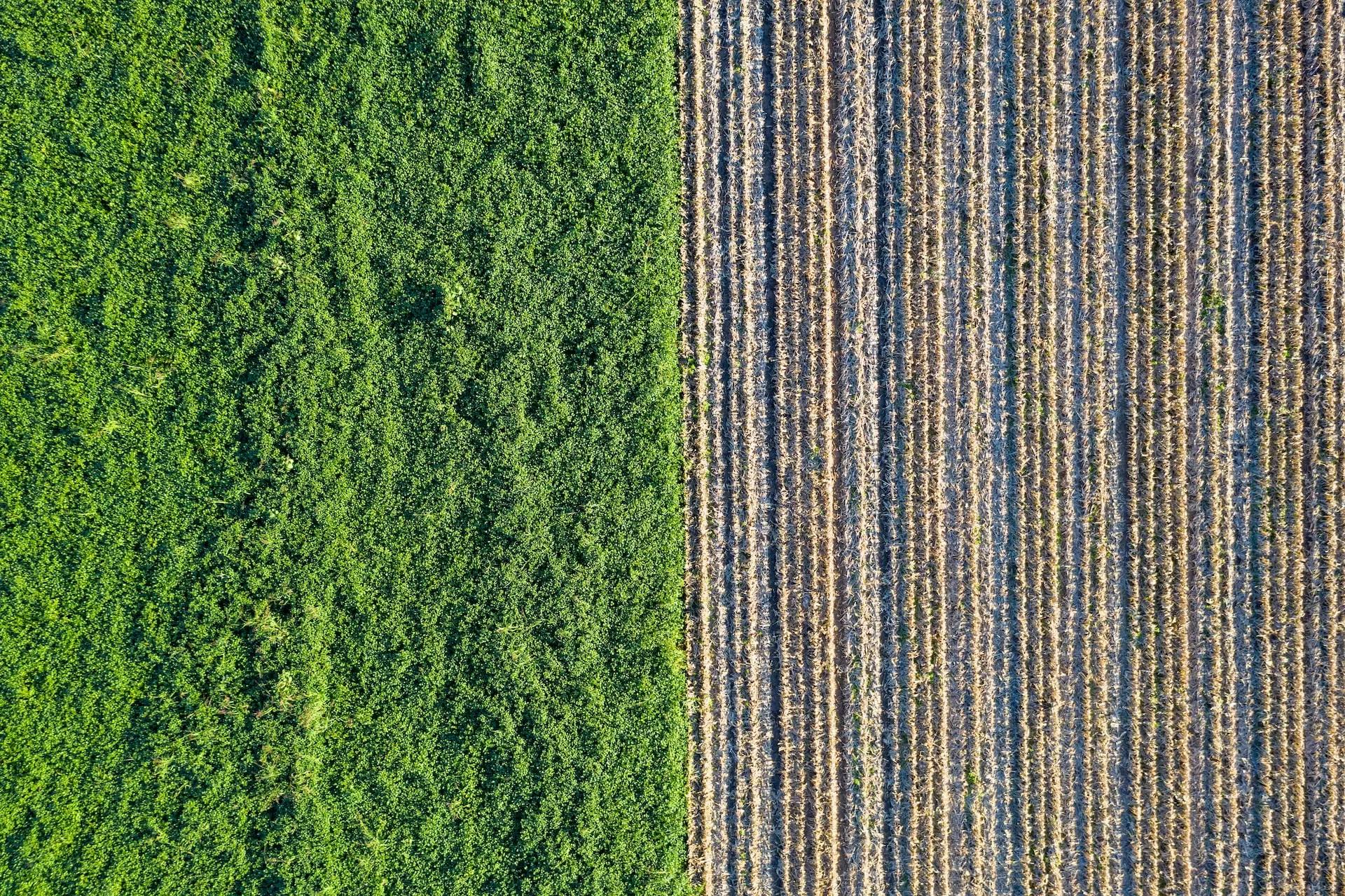 Le marché du biométhane