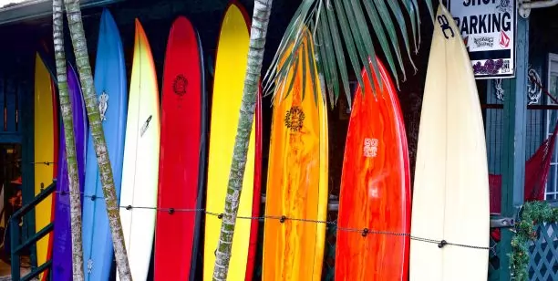 Le marché des planches de surf