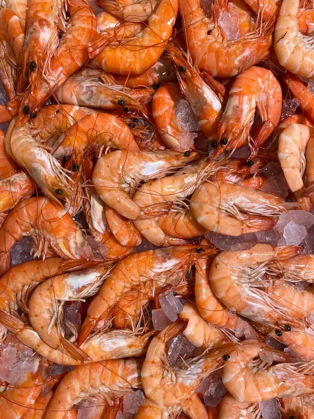 The shrimp market