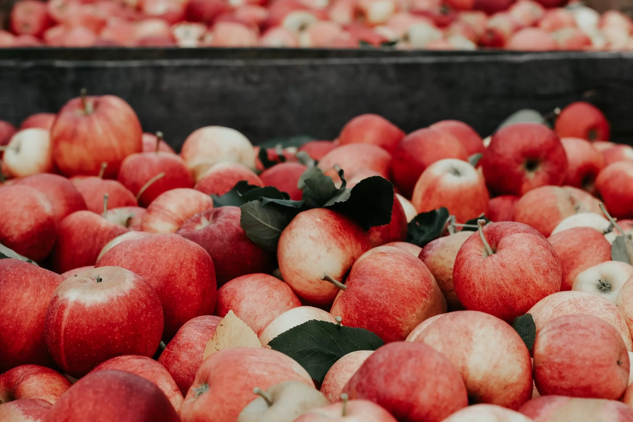 The market for cider