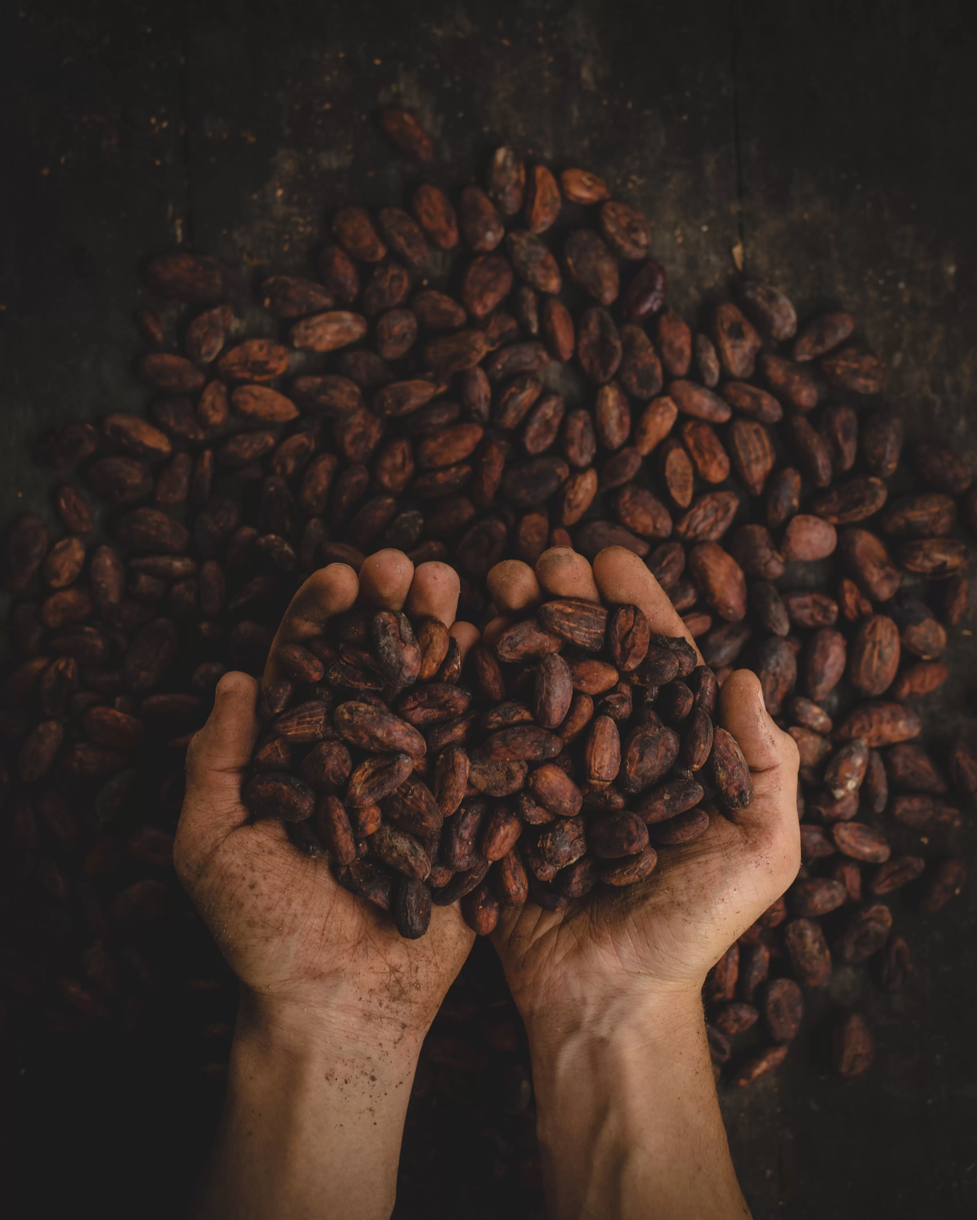 The market for cocoa