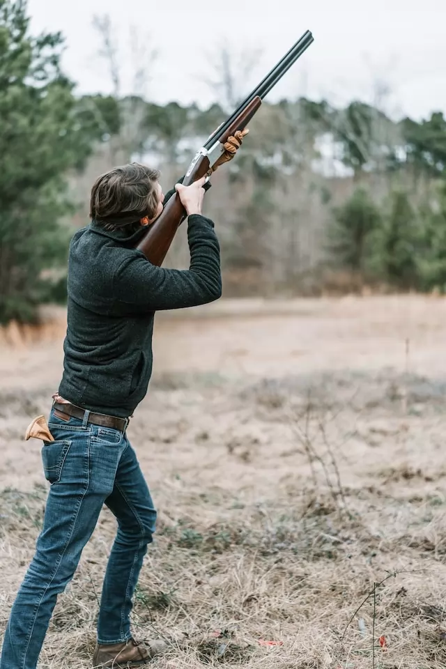 le marché des fusils de chasse