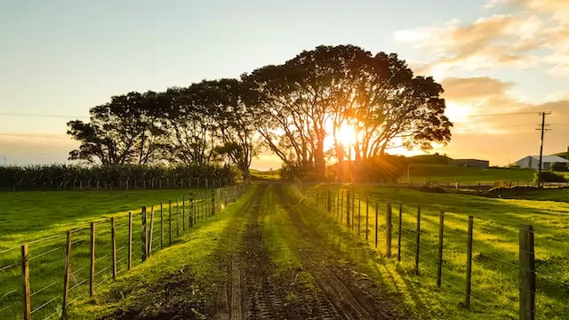 le marché des produits du terroir